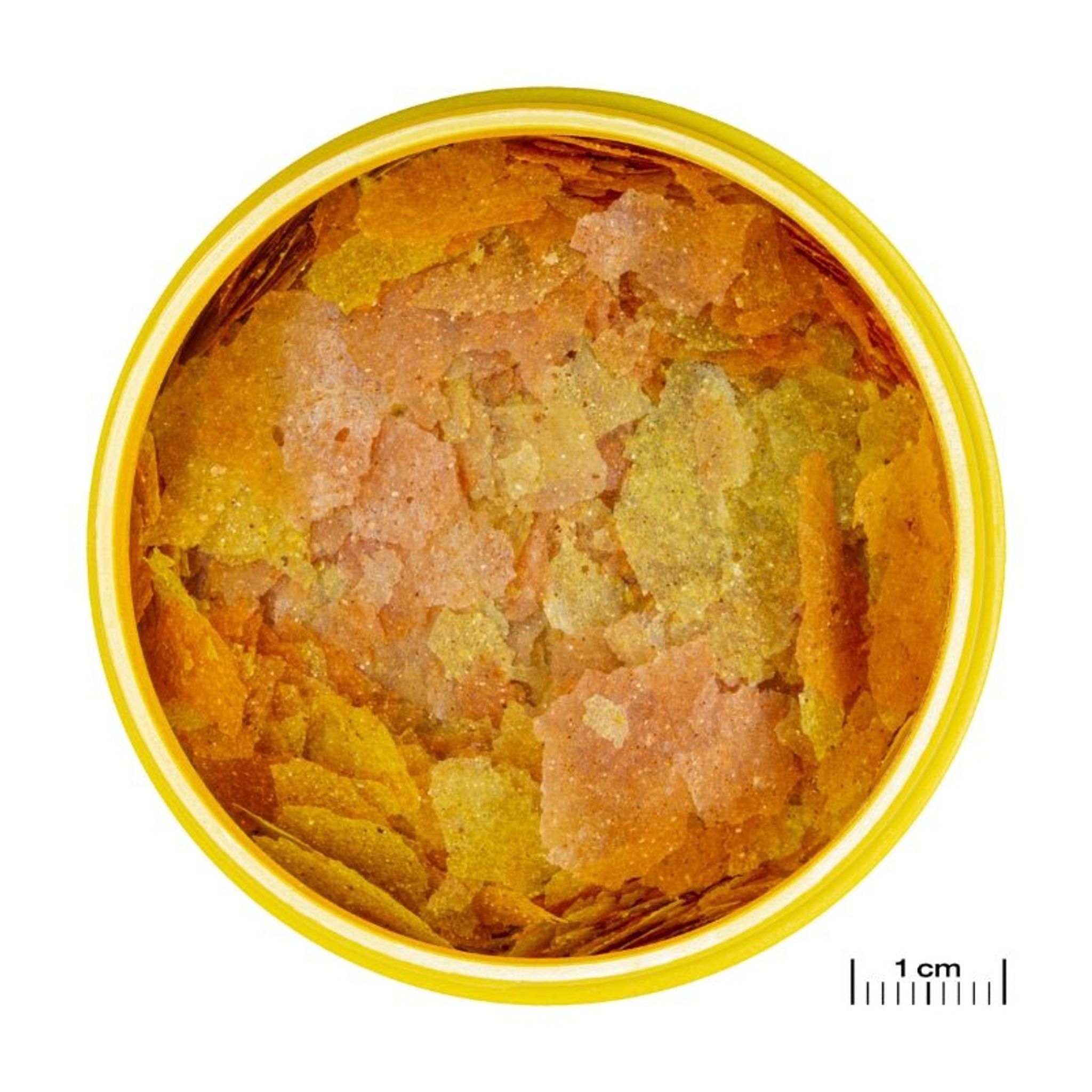 JBL ProNovo Color Flakes M (Colour Enchancing Flakes for Tropical Fishes)