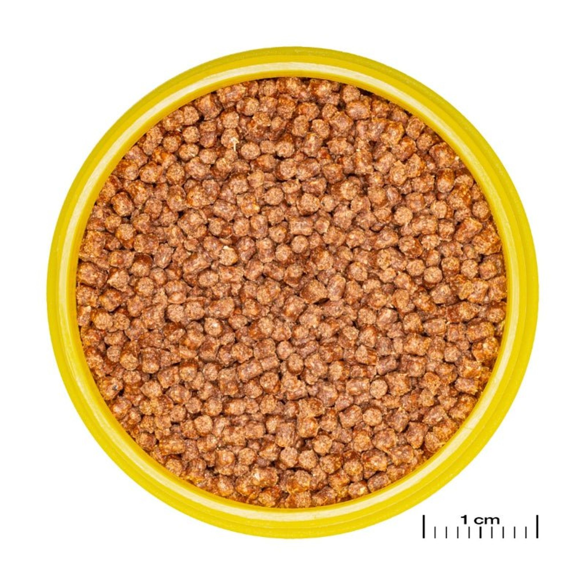 JBL ProNovo FanTail Grano S / M (Colour Enhancing Sinking Pellet For Goldfish)