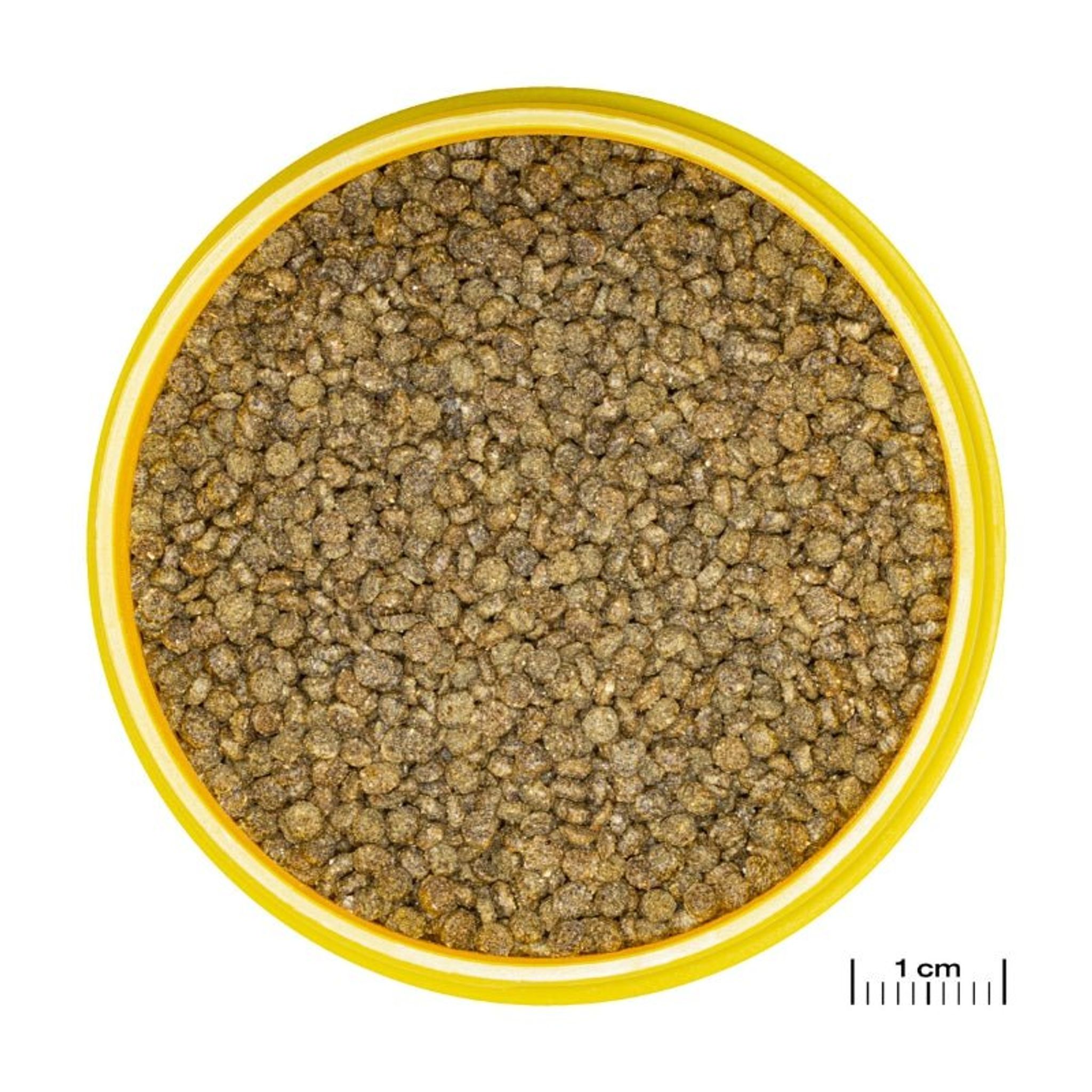 JBL ProNovo Gourami Grano S (Colour Enhancing Diet)