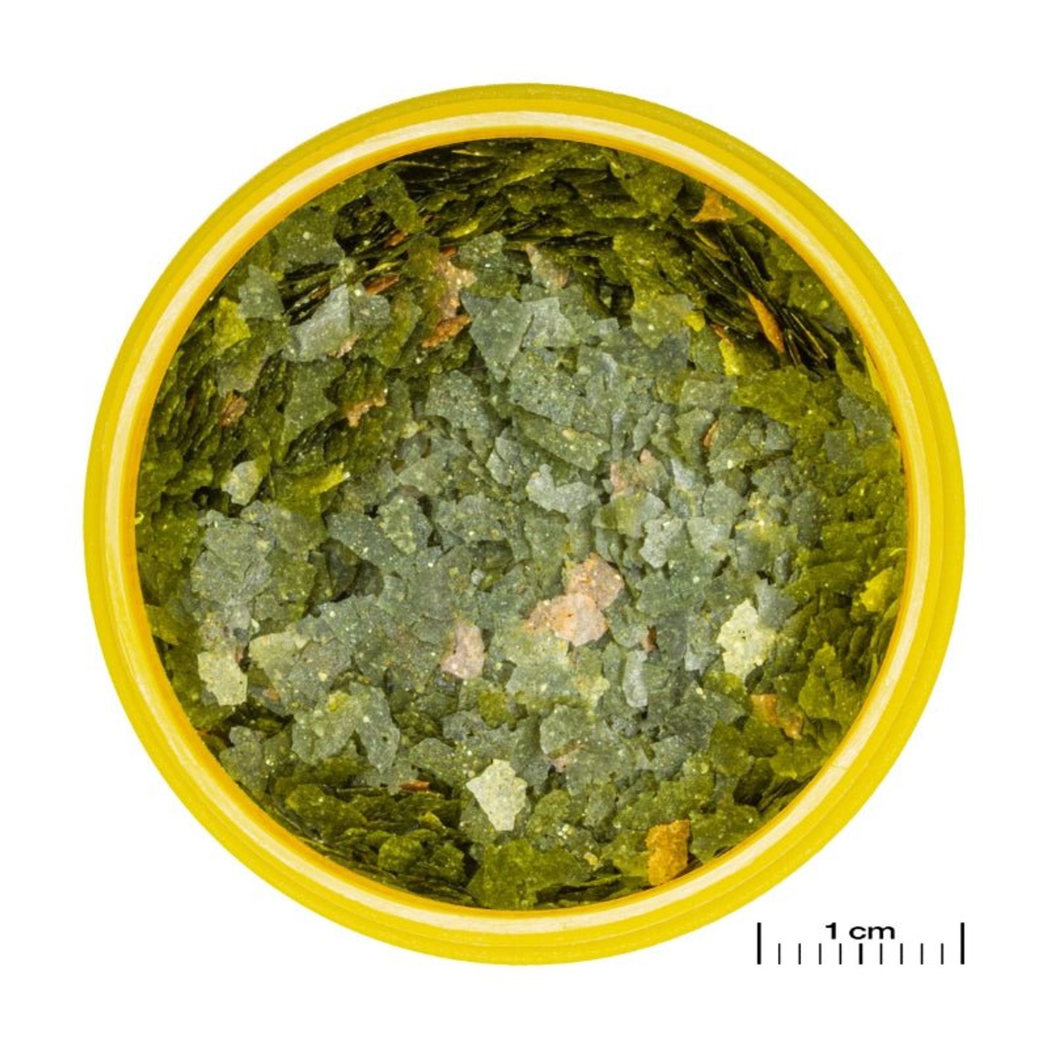JBL ProNovo Guppy Flakes S (Colour Enhancing Flakes)