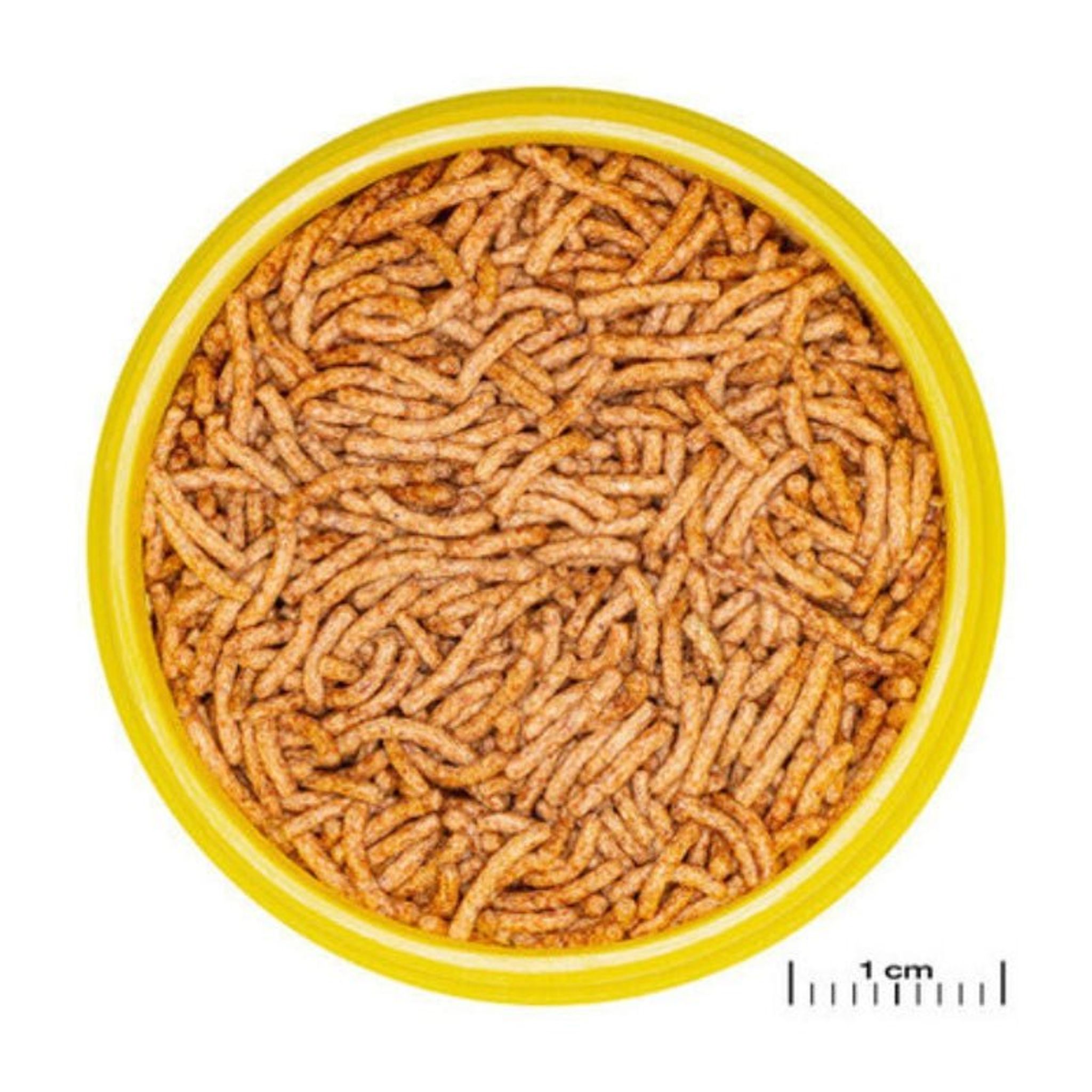 JBL ProNovo Insect Stick S (Quality Insect Treat For Fishes)