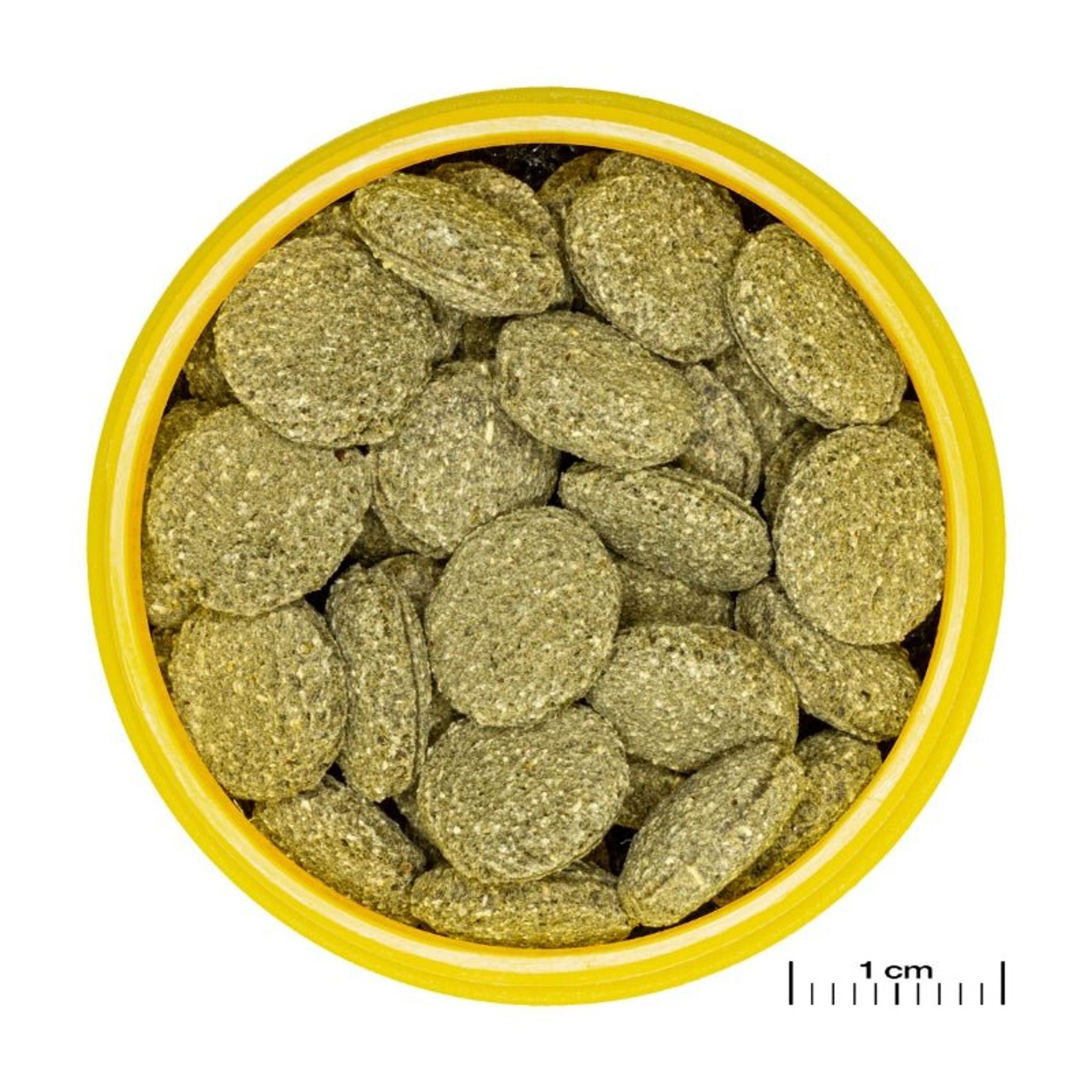 JBL ProNovo Pleco Wafer M/XL (Plecos Food With Natural Wood Fibres)