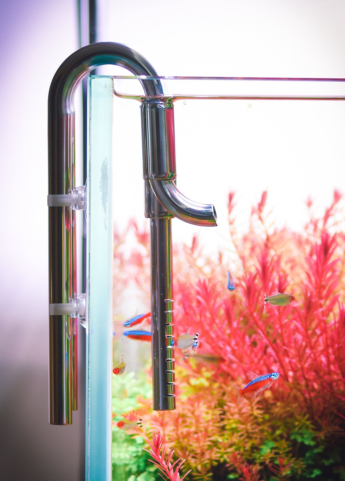 LitiAquaria Stainless Steel Jet Pipe In/Out