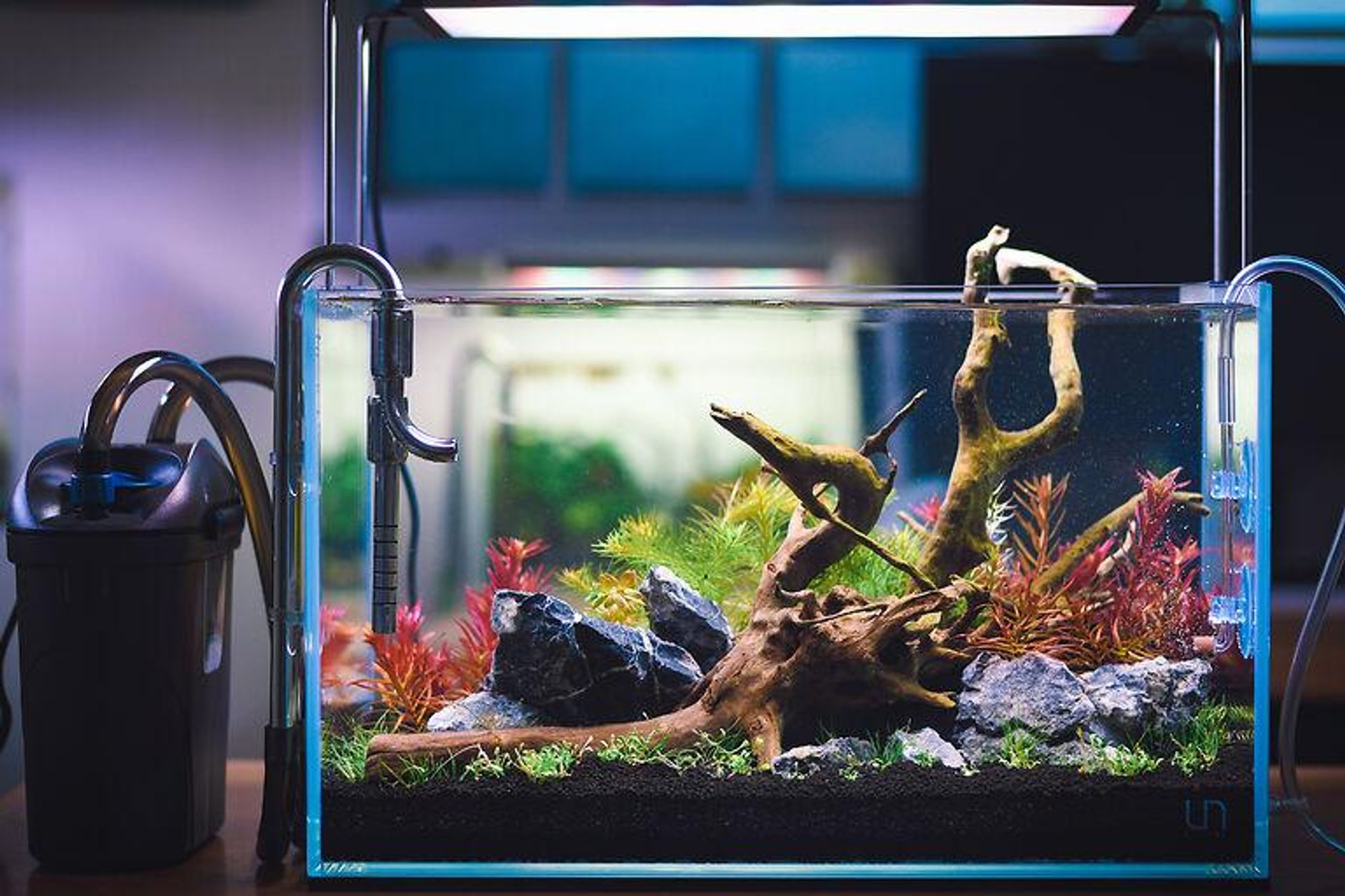 LitiAquaria Stainless Steel Jet Pipe In/Out