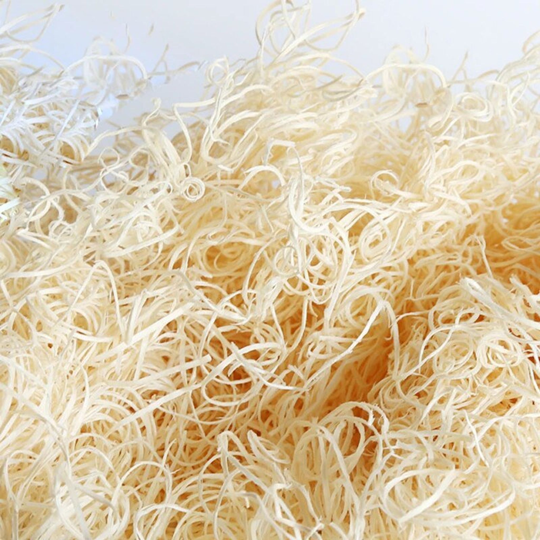 NOMOYPET NC-08 - Poplar Wood Wool Substrate