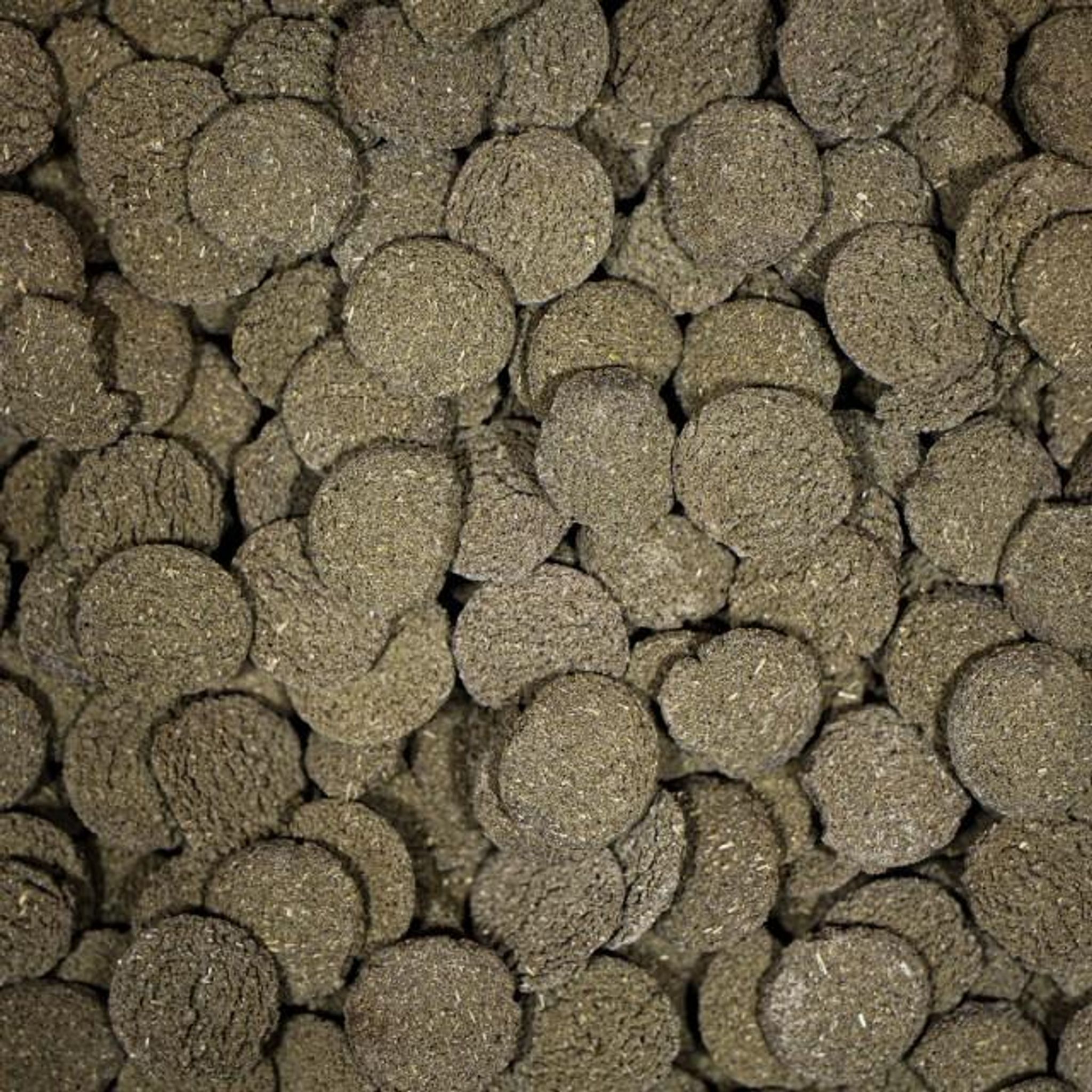 NT LABS Pro-f Algae Wafers (include lignin for wood eating fishes)