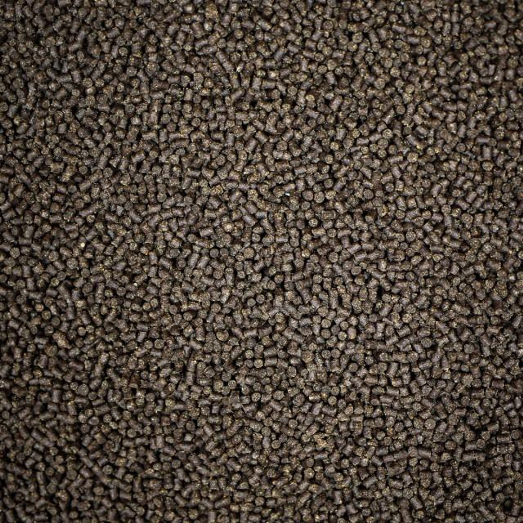 NT LABS Pro-f Fancy Goldfish (sinking pellet)