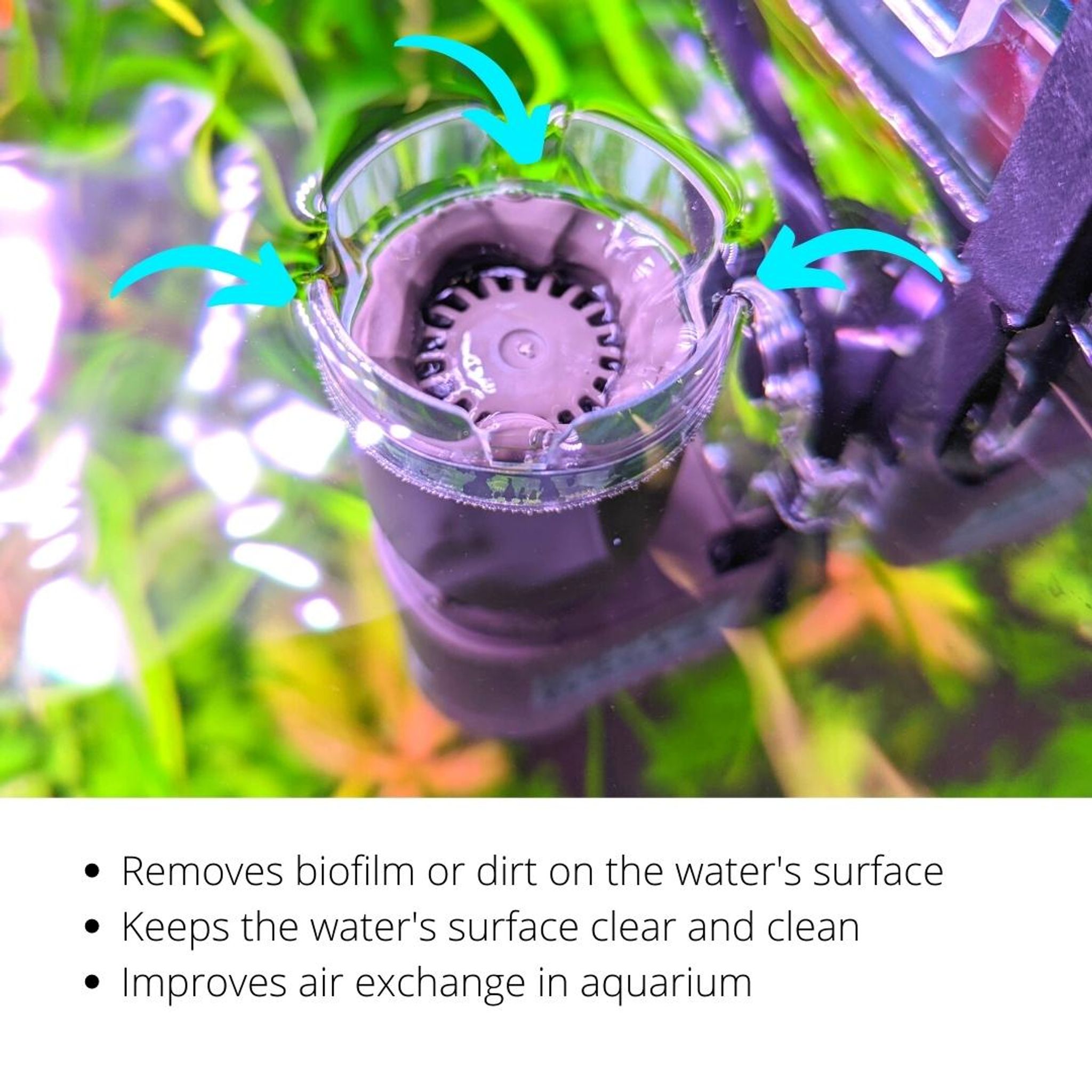 OASE Surface Skimmer CrystalSkim (350/600)