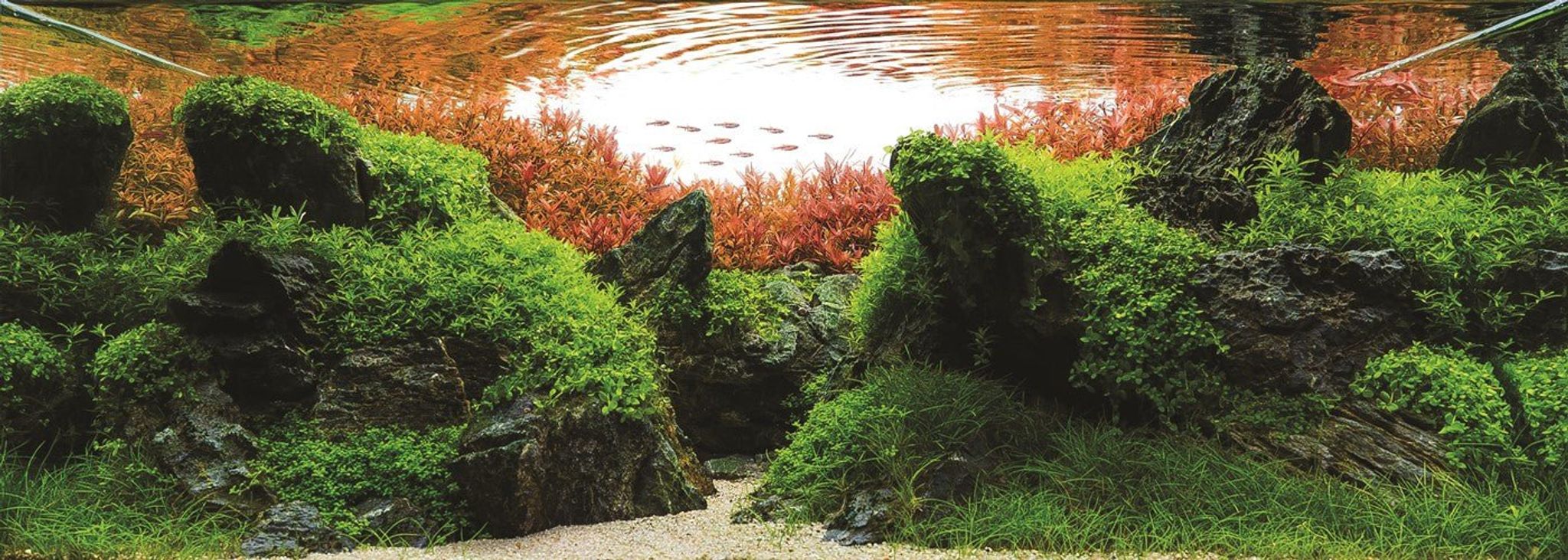 TROPICA Aquarium Soil 3L /9L