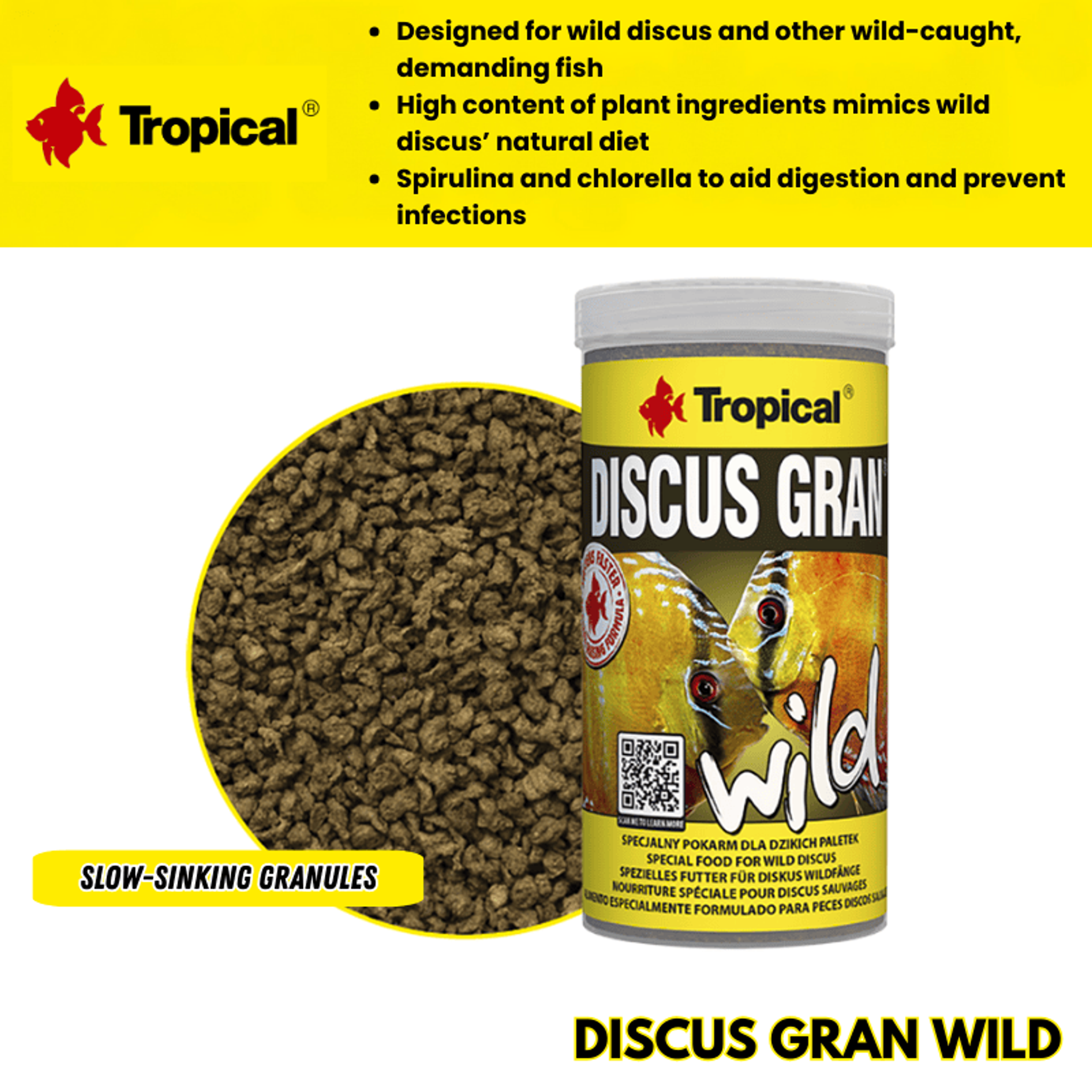 Tropical Discus Gran Wild (bring out natural colouration)