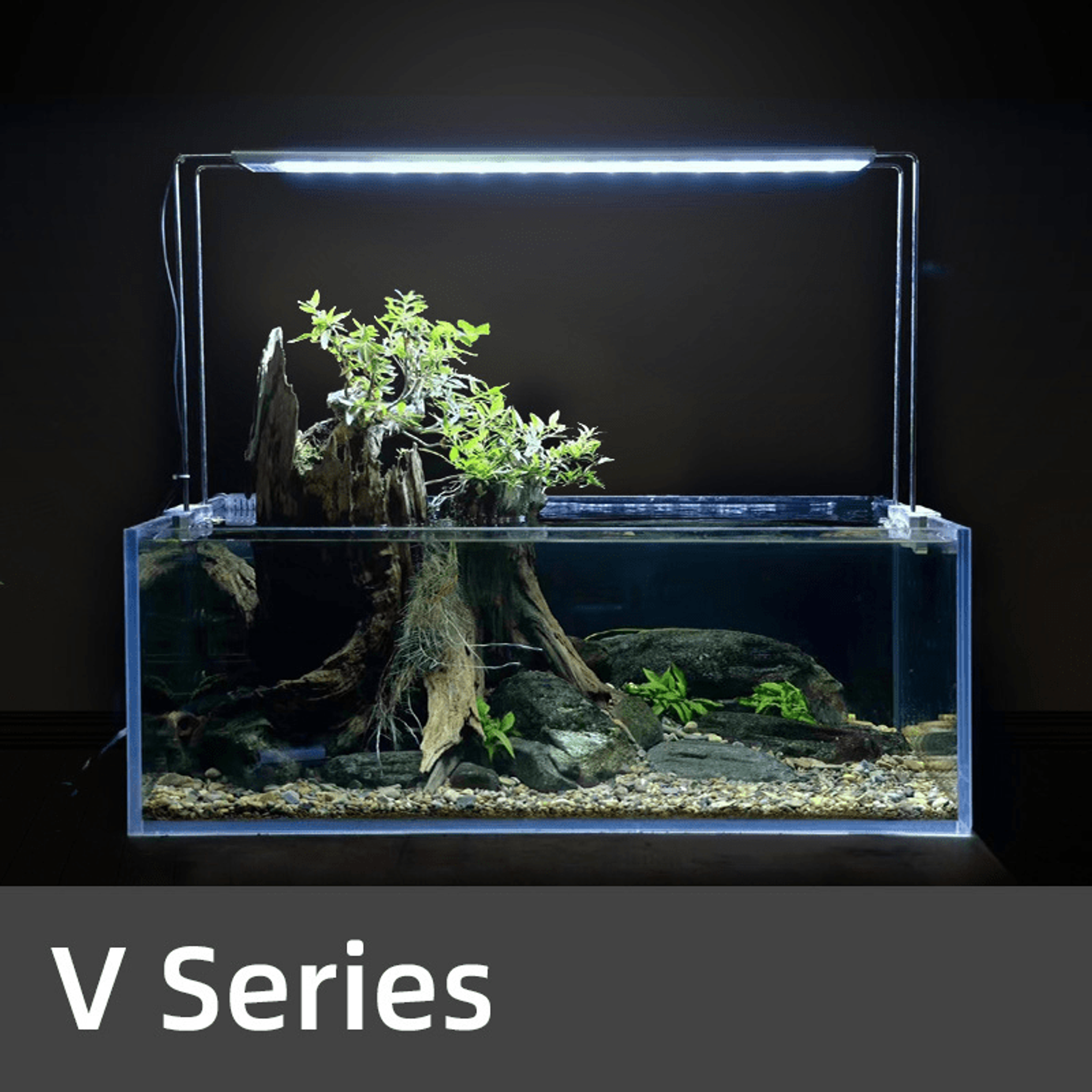 Week Aqua V-600SE- S light (remote control) (high stand)