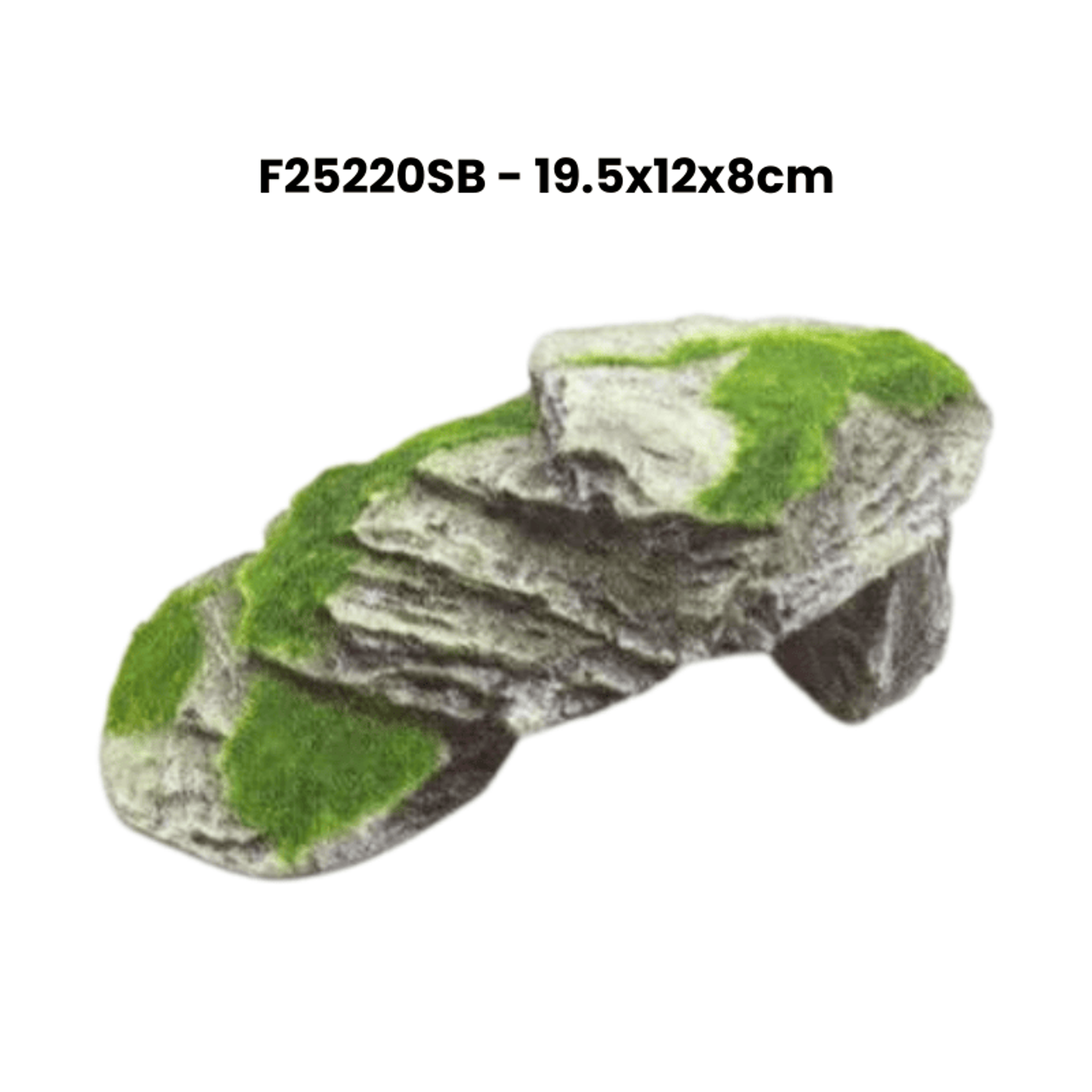ZZ F25220SB Turtle Platform deco green