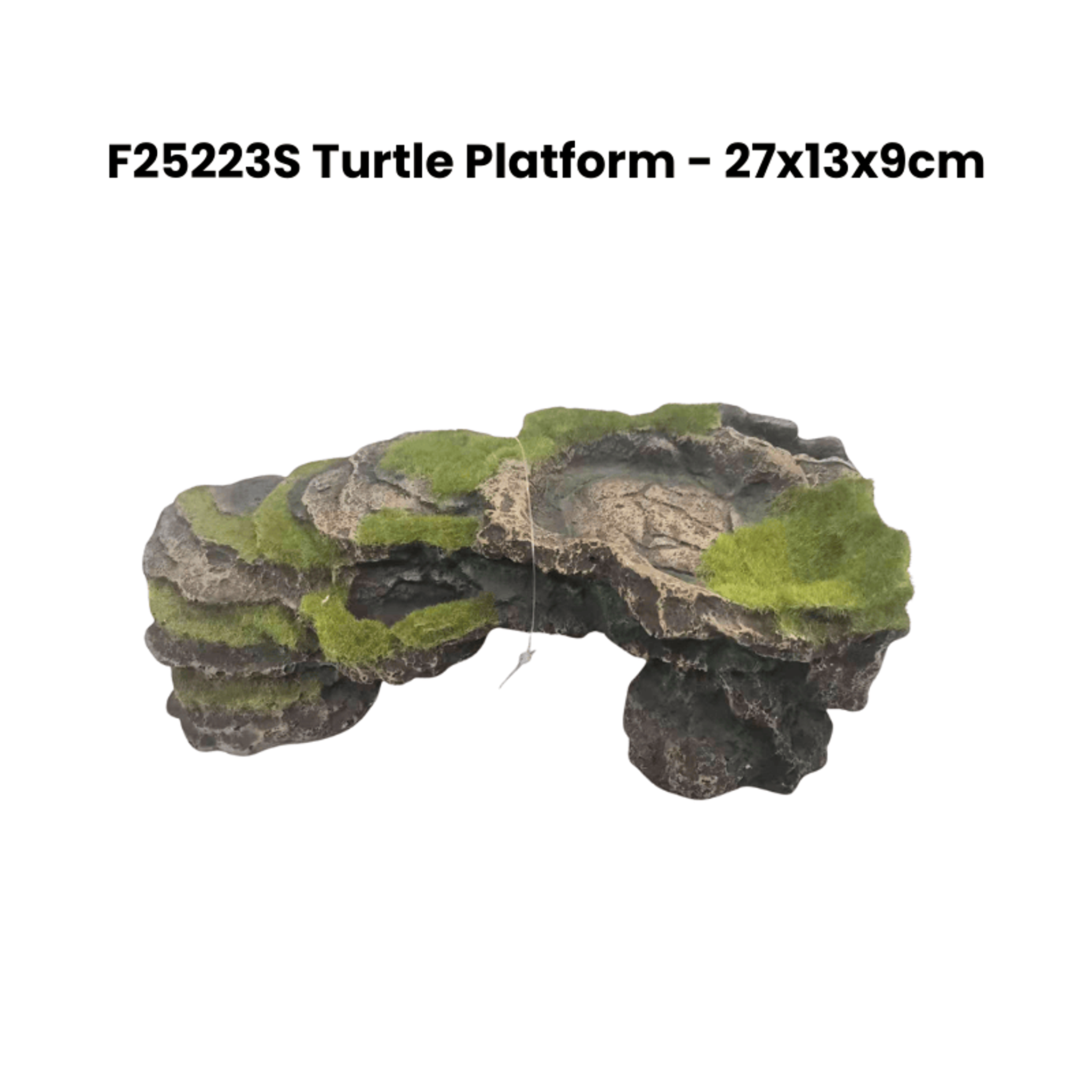ZZ F25223S Turtle Platform Deco green
