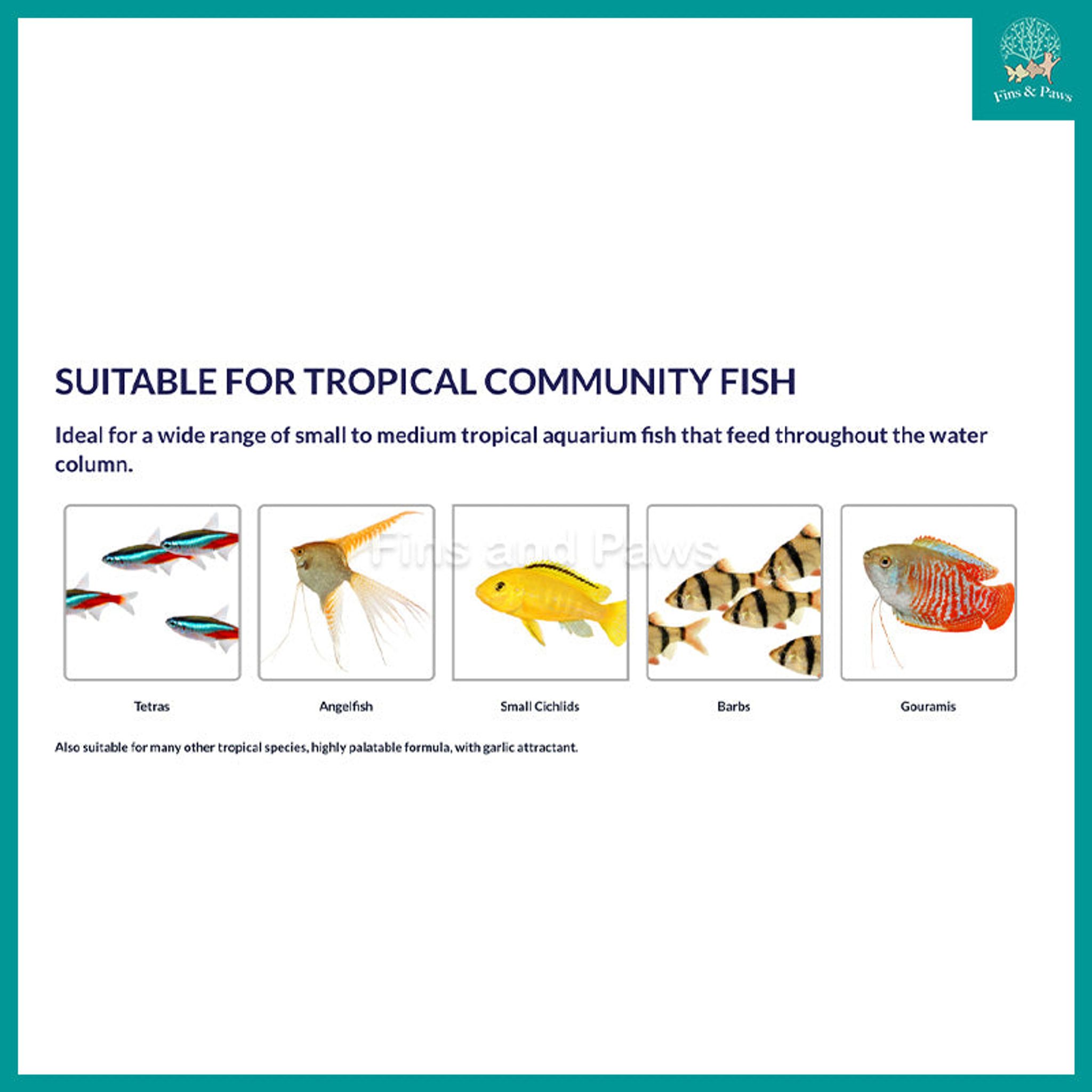 [Bioscape] Insectivore Tropical Granules Fish Food (Made in Europe) – Ideal for small to medium tropical aquarium fish