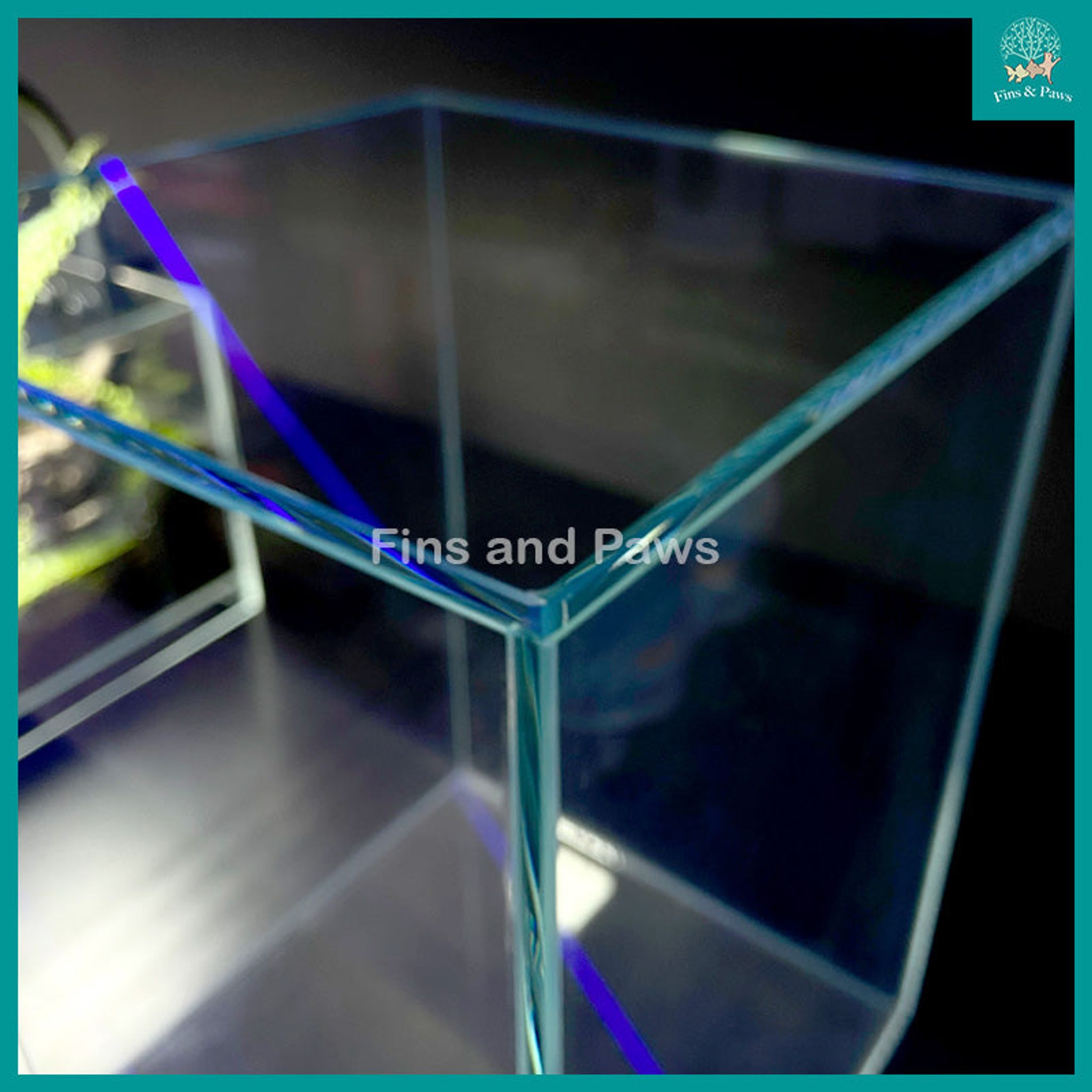 [Crystal] 22cm / 24cm Crystal Glass Tank with Removable Fully Covered Glass Lid (Suitable for Terrarium, Plants, Wabi-Kusa, Moss, Opae Ula Shrimp, etc)