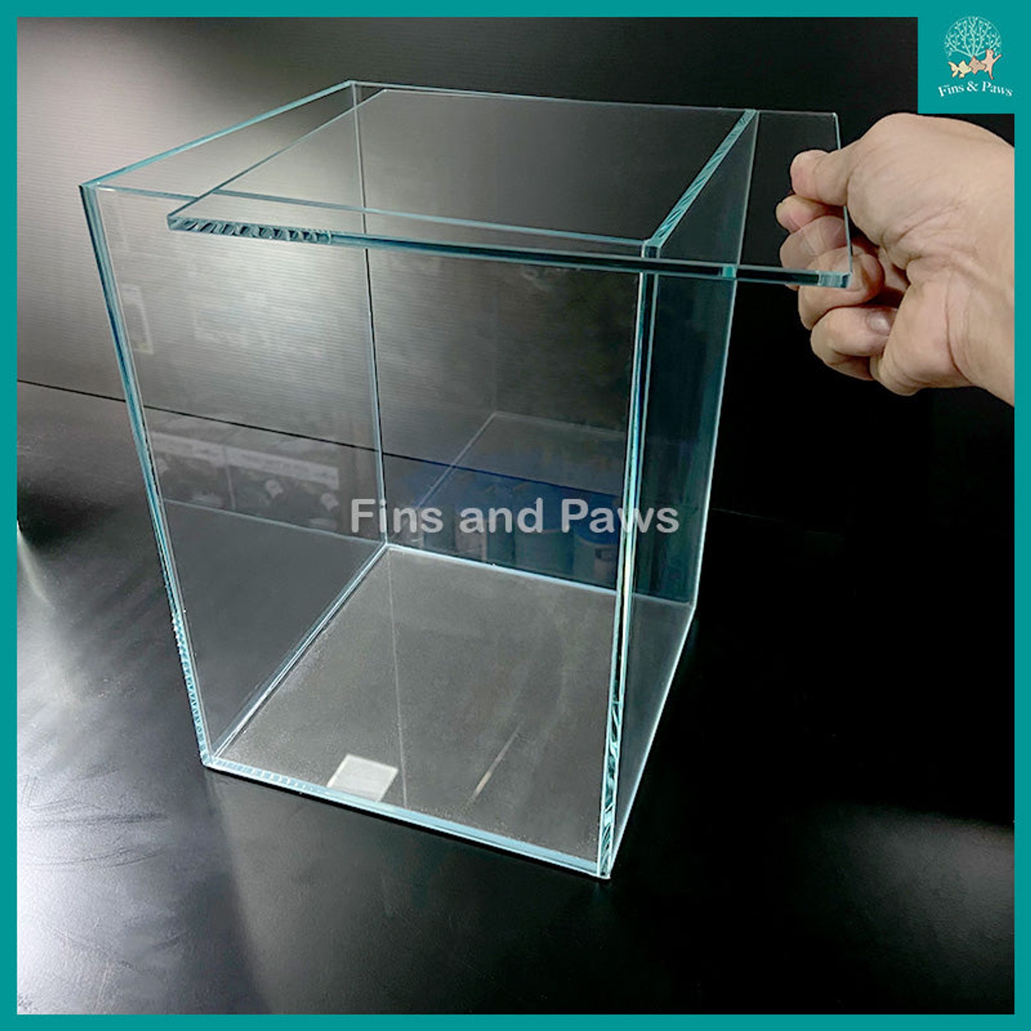 [Crystal] 22cm / 24cm Crystal Glass Tank with Removable Fully Covered Glass Lid (Suitable for Terrarium, Plants, Wabi-Kusa, Moss, Opae Ula Shrimp, etc)