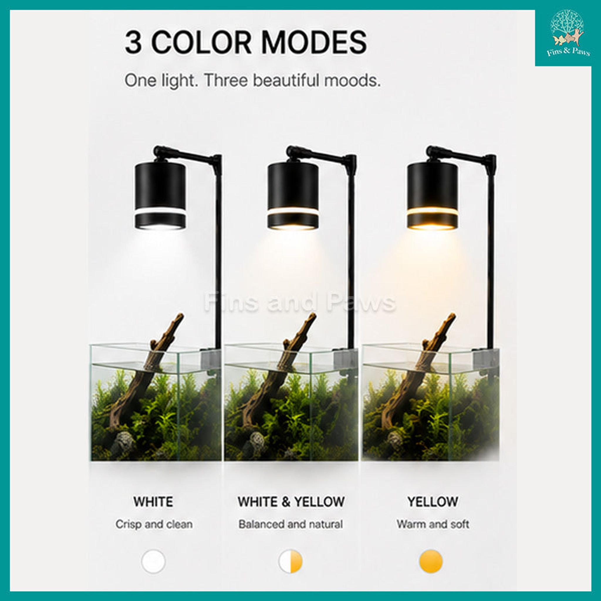 [Raw Elements] Coco Designer Pendent LED with Stand for Aquariums Fish Tanks (from 20cm - 45cm)