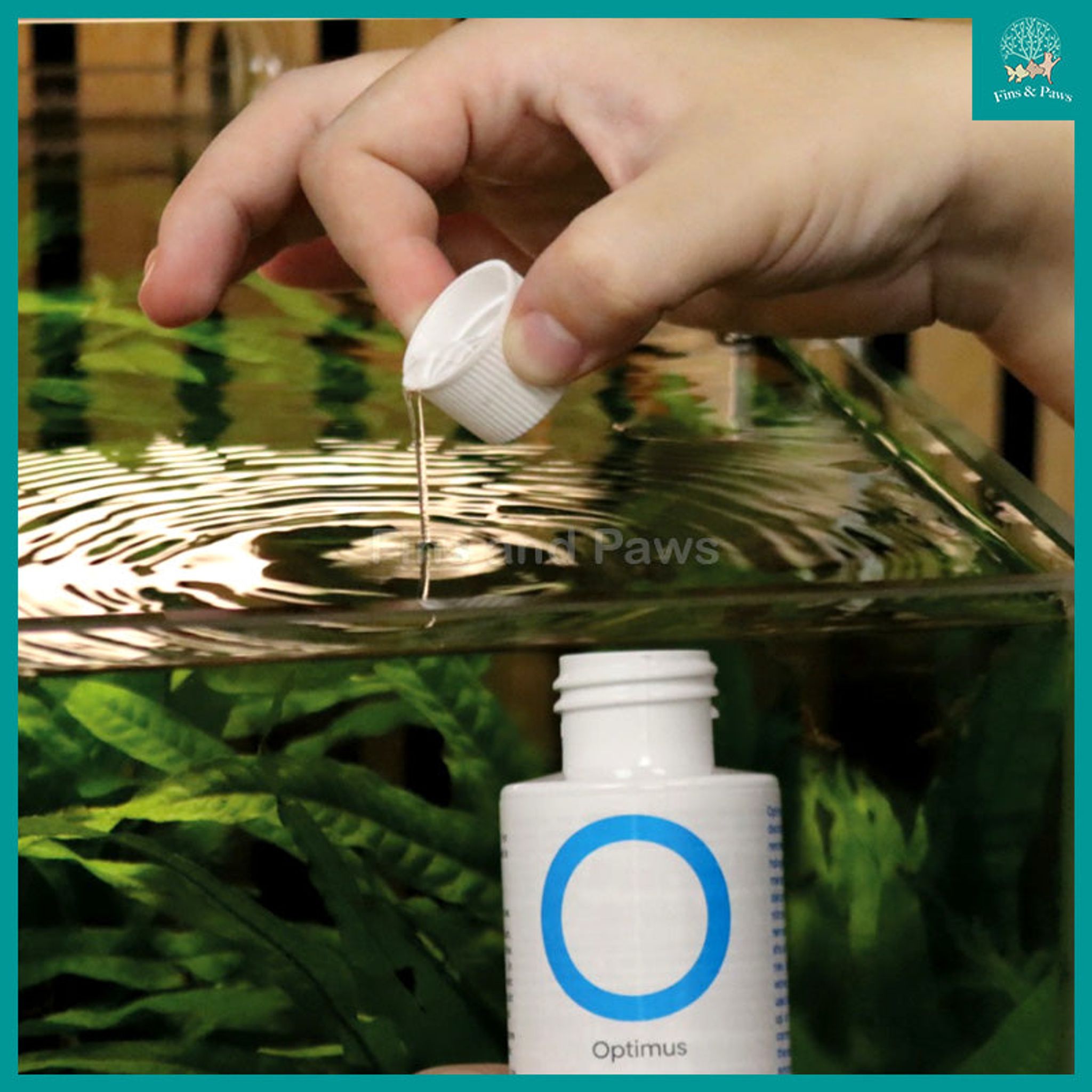 [NT Labs] Optimus Concentrated Tap Water Dechlorinator for Freshwater and Marine Aquarium with Ammonia, Nitrite and Nitrate Detoxifier