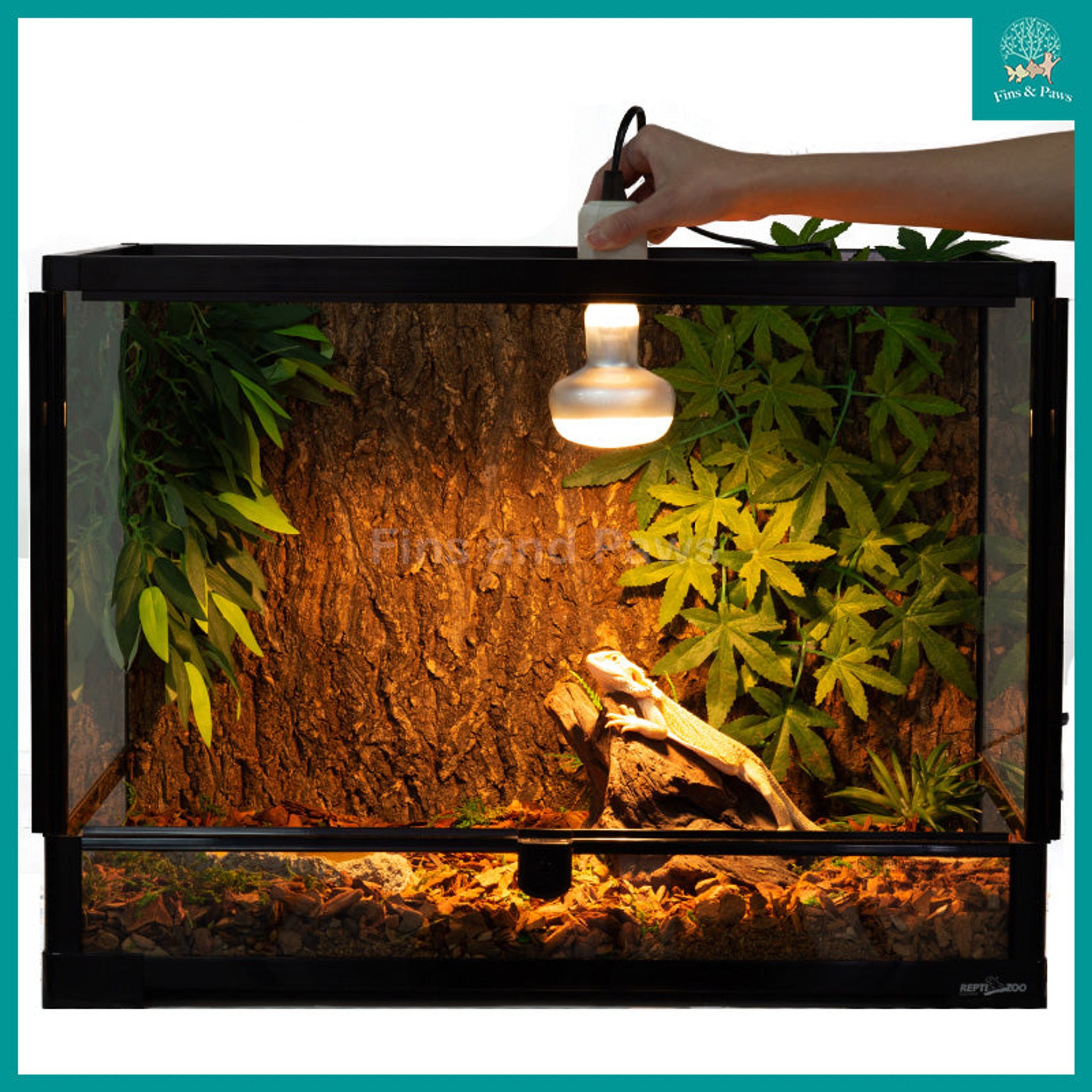 [ReptiZoo] Intense Basking Spot UVA and Heat Bulb 50W / 100W for Reptiles