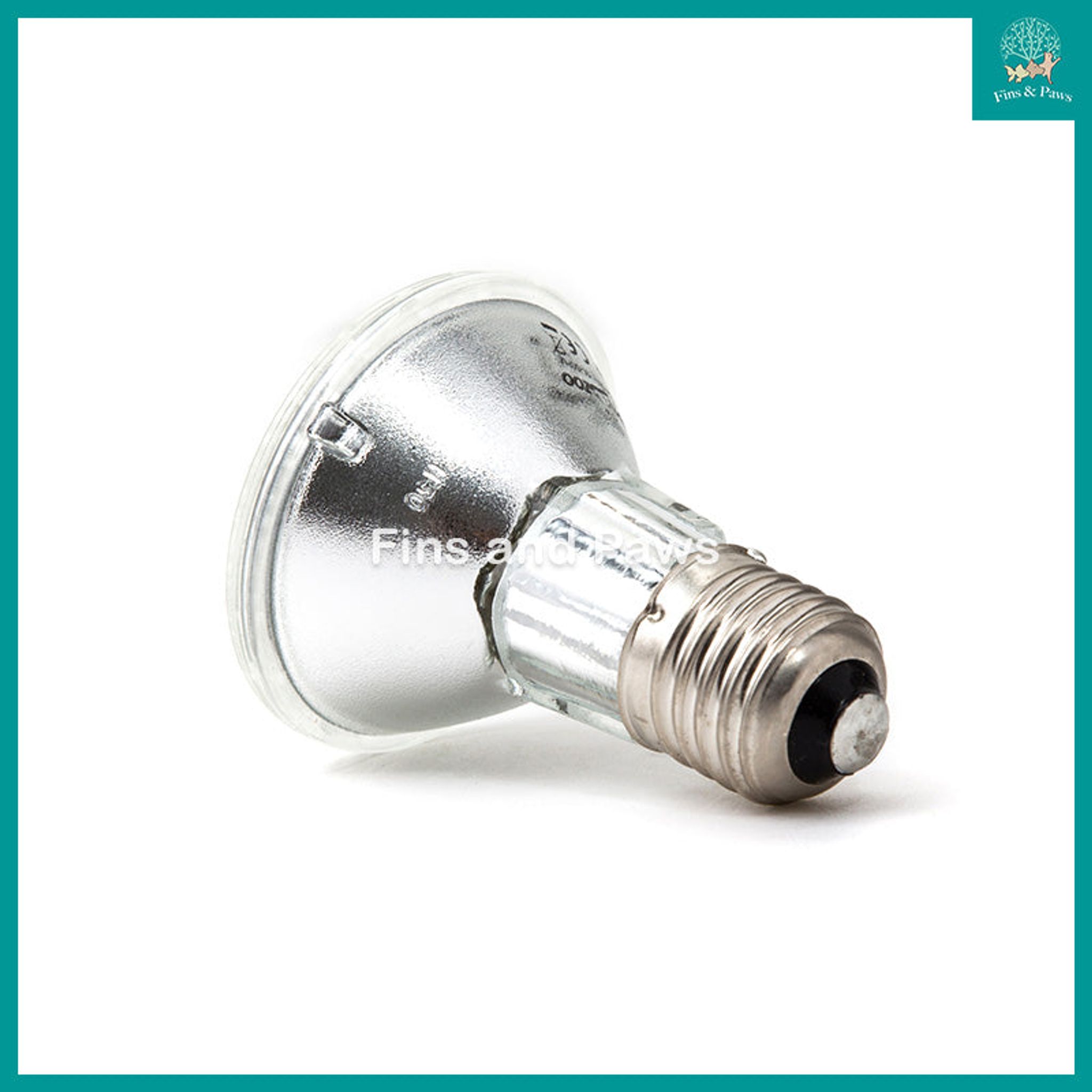 [ReptiZoo] UVA Halogen Spot Lamps 35W / 50W / 75W / 100W