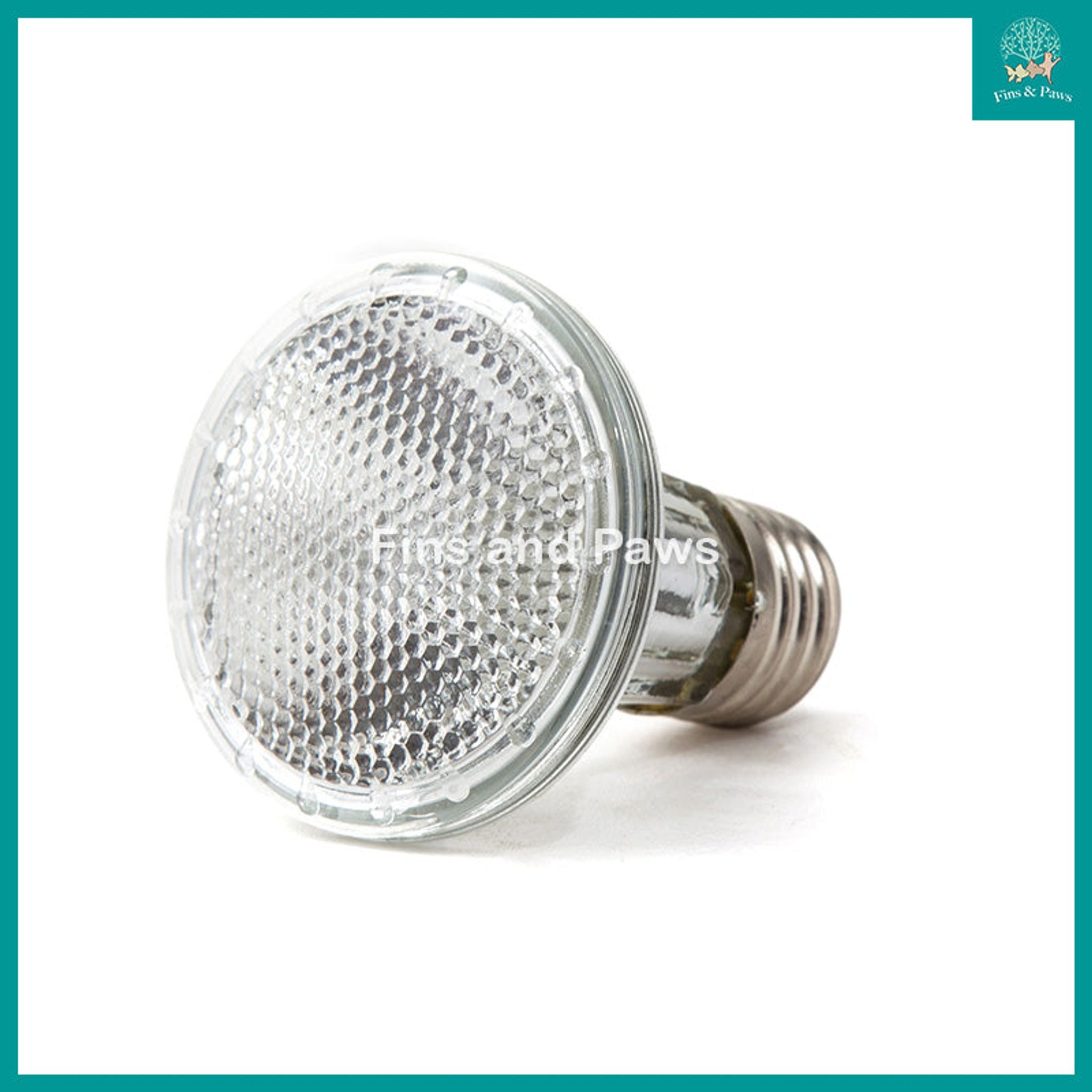 [ReptiZoo] UVA Halogen Spot Lamps 35W / 50W / 75W / 100W