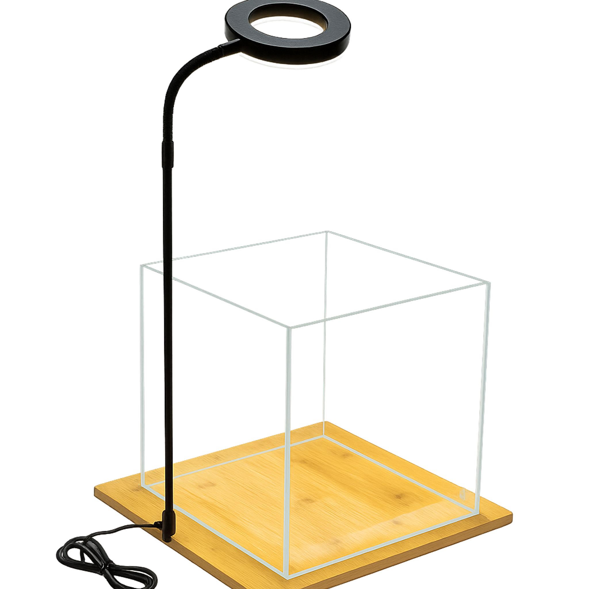 AquaBloom Aquarium Kit