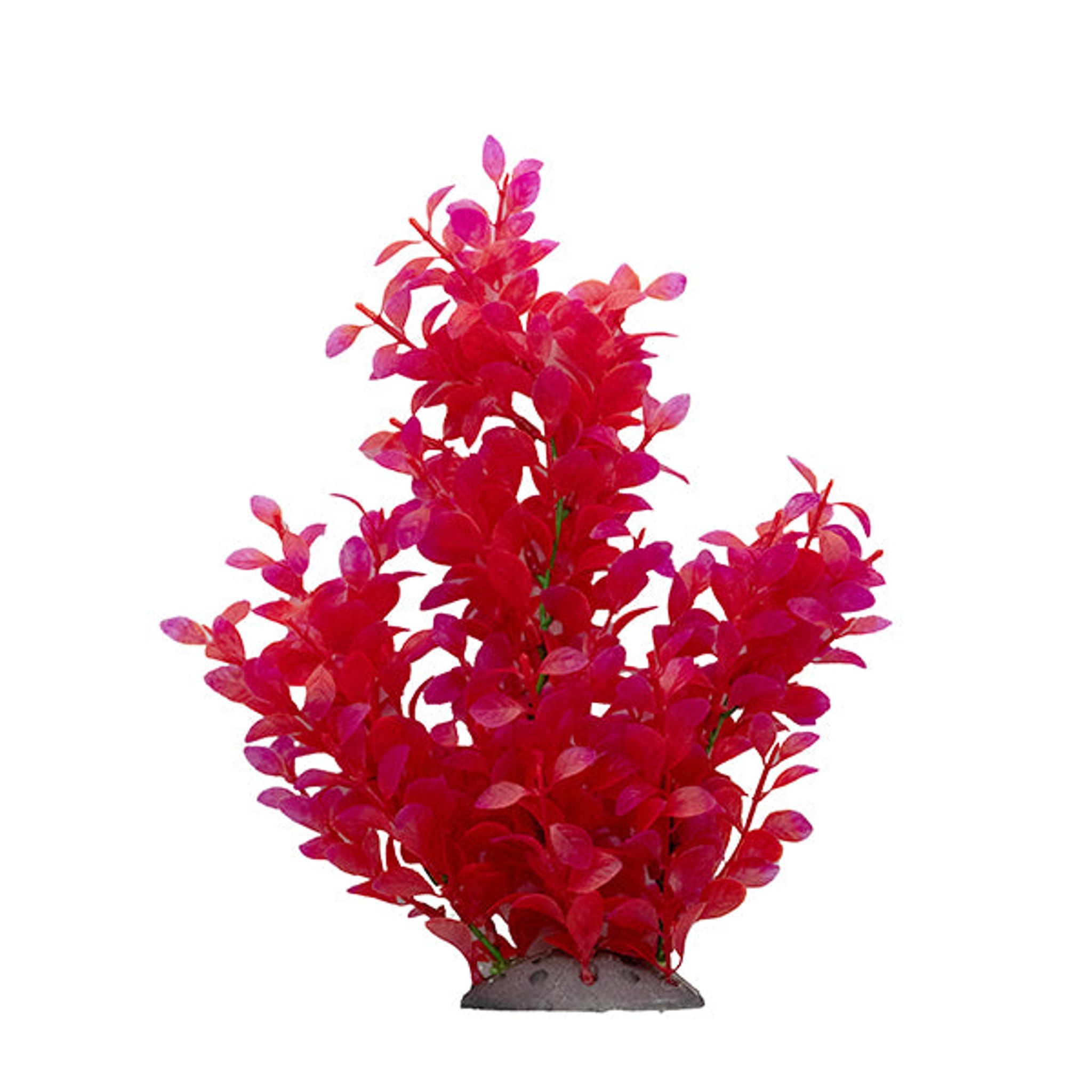 GloFish® Purple, Pink & Orange Tetra 9 Pack + 10" Coral Beauty Plant