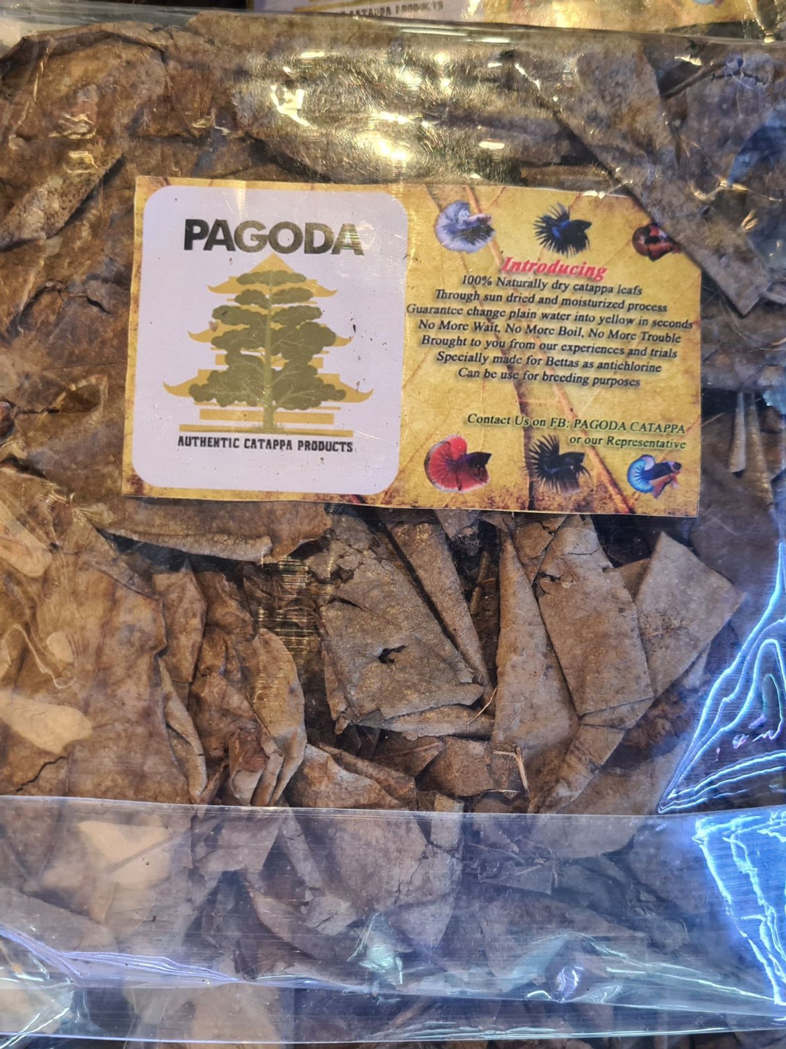 Pagoda - Catappa Leaf (KTP) 100G