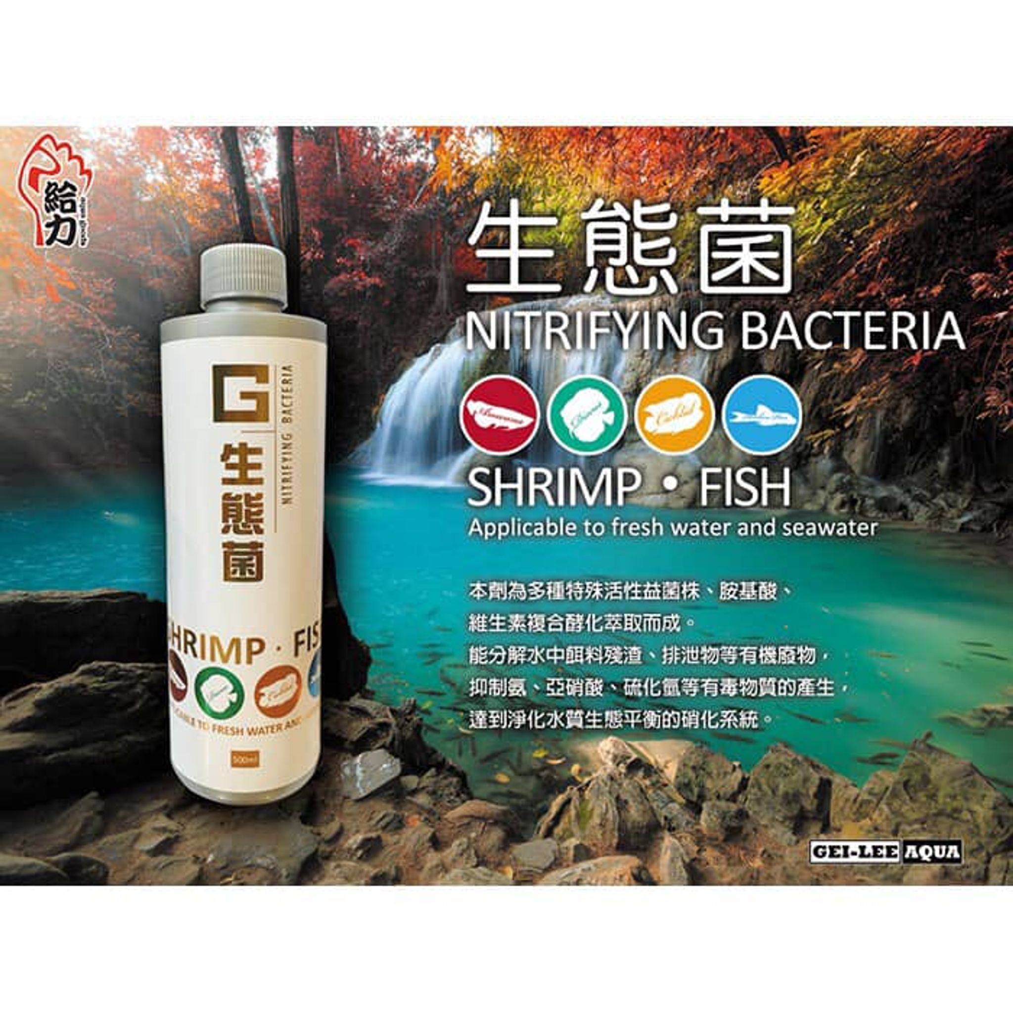 GEILEE Nitrifying Bacteria 500ml