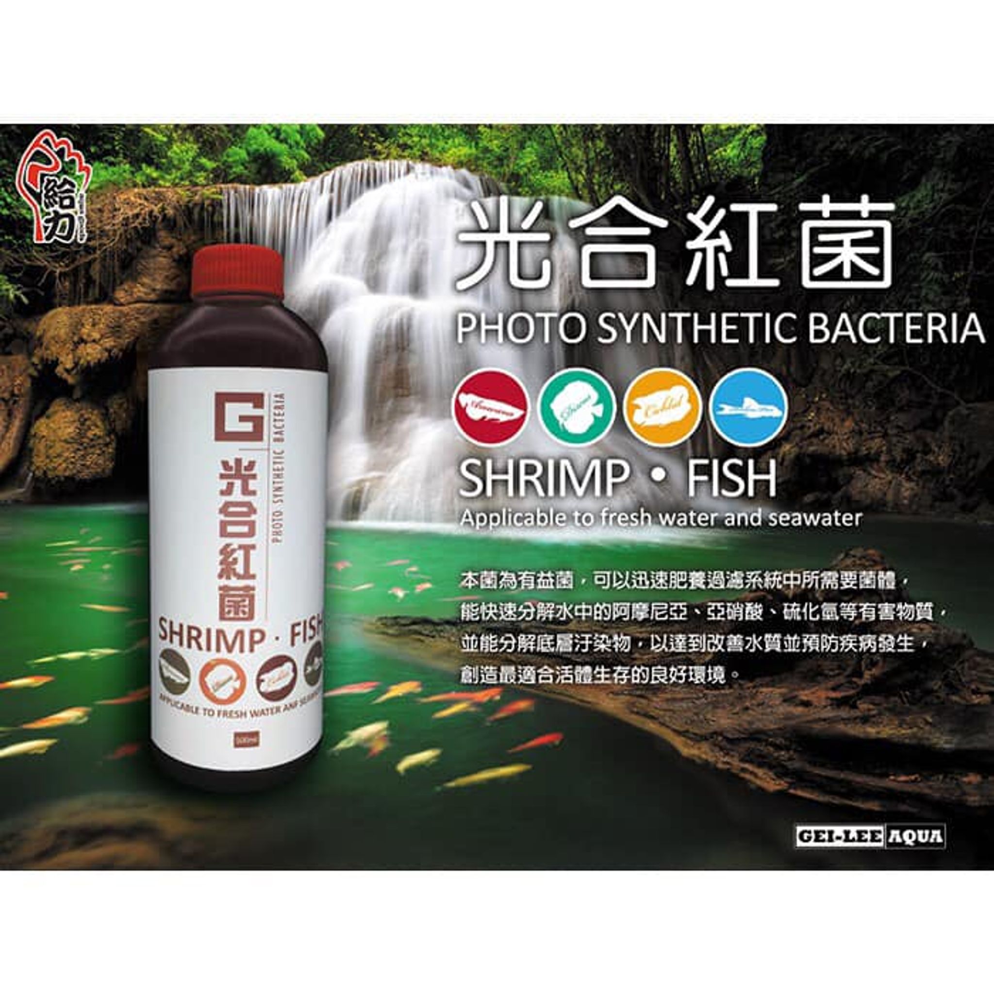 GEILEE Photosynthesis Bacteria