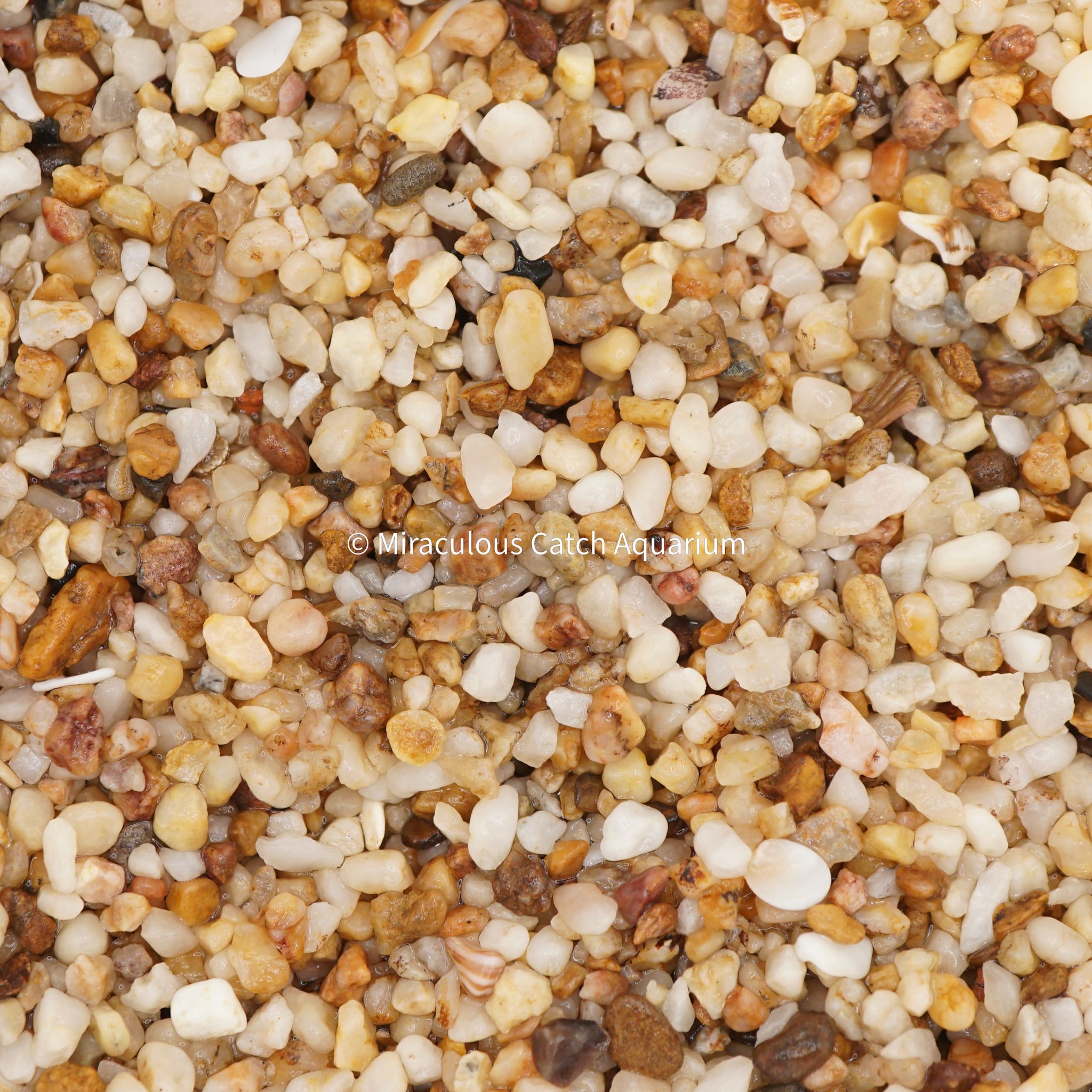 Brown River Gravel (1kg)
