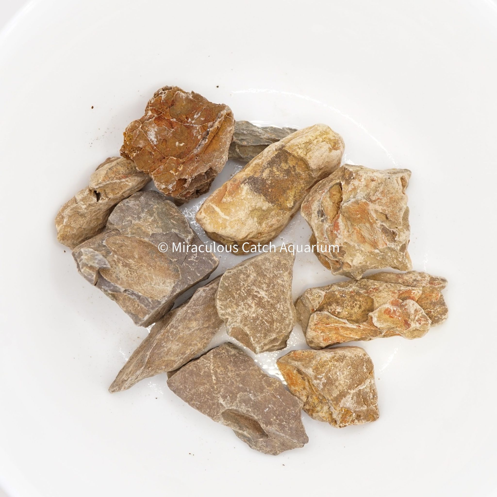 Dragon Stone (Small Pieces)