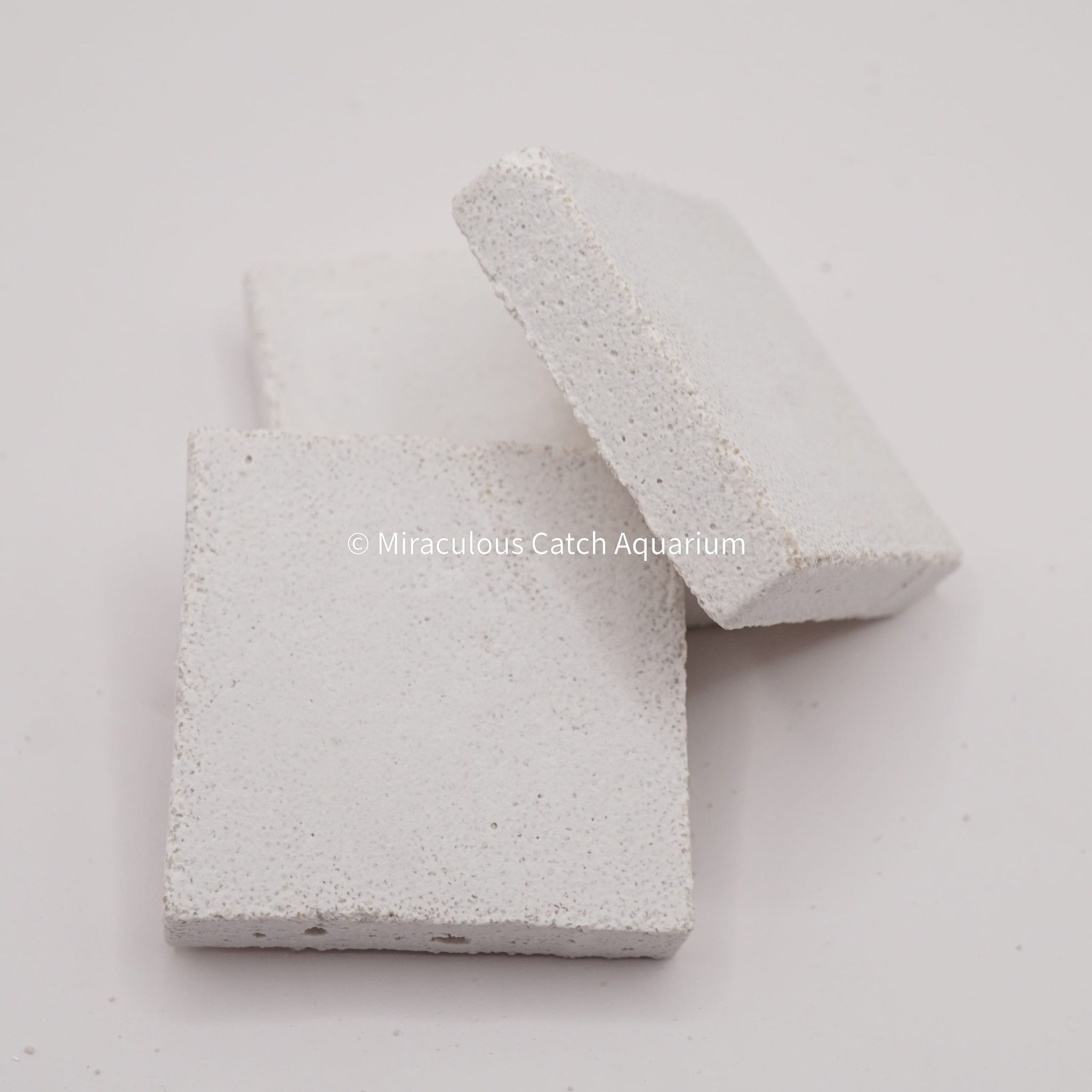 Ocean Wonders Frag Tile (3cm by 3cm)