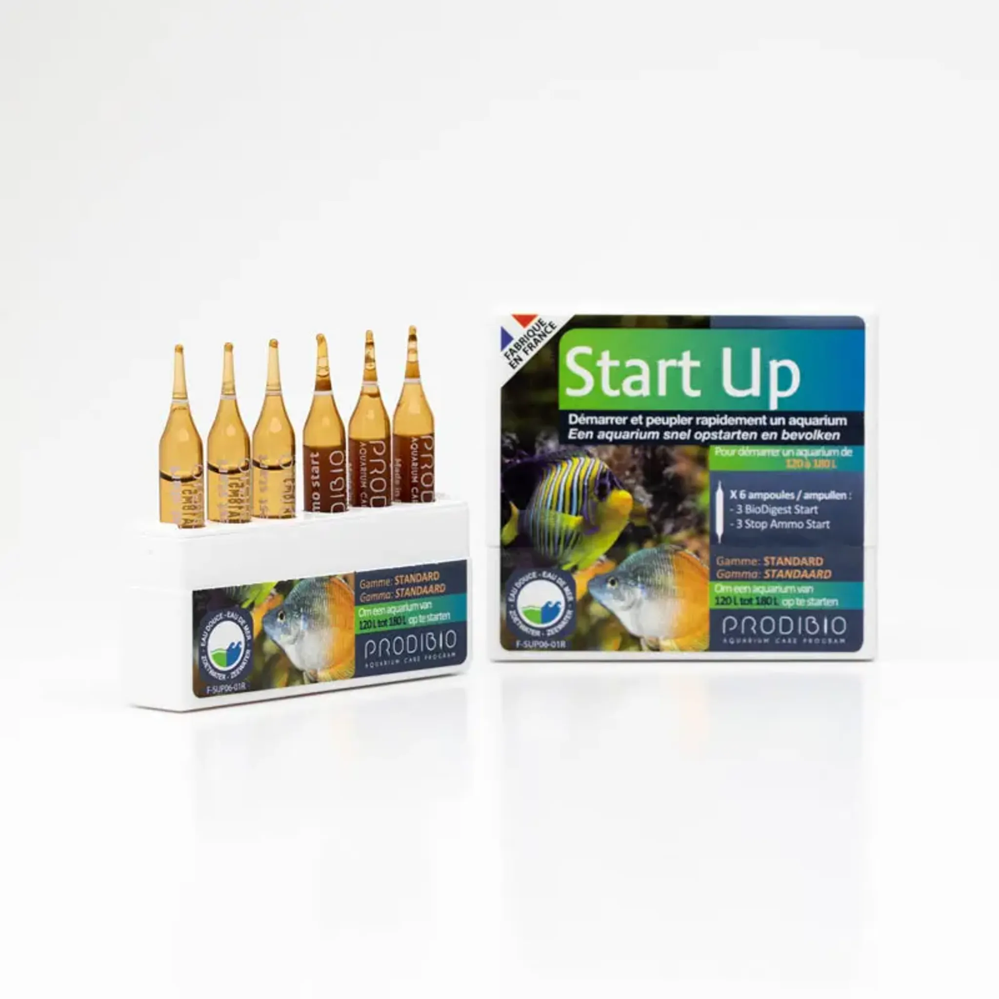 Prodibio Start Up