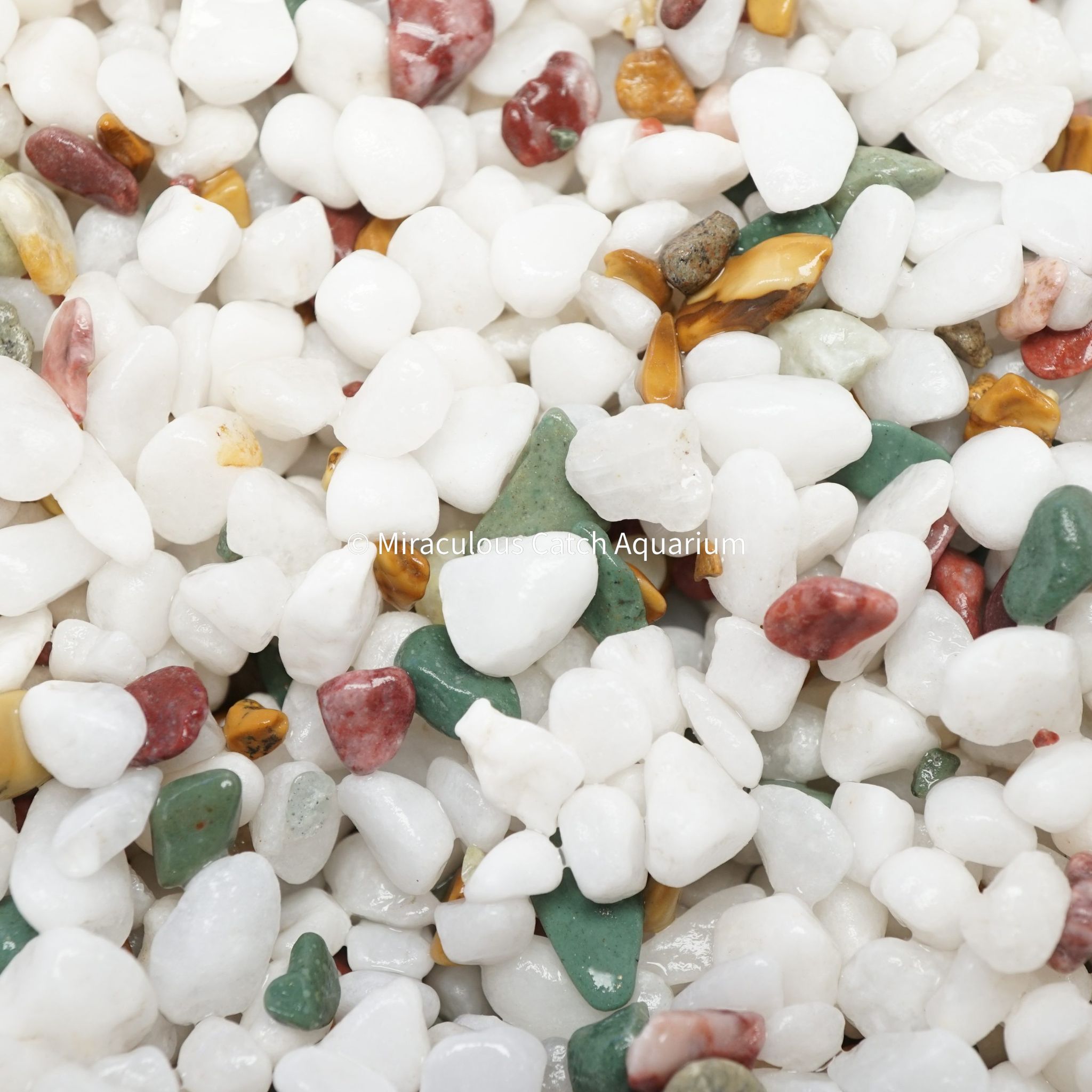 White River Gravel (1kg)