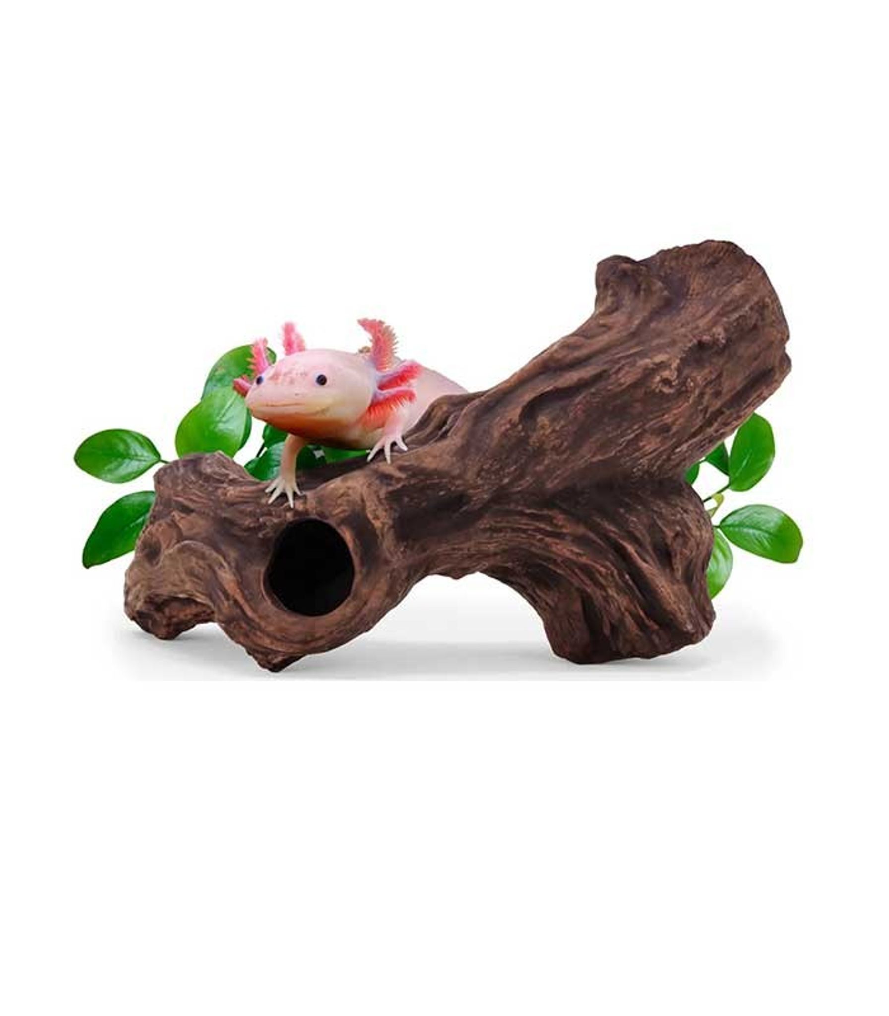 Aquavitro Ceramic Hide B3 SC-7097 MODEL B3