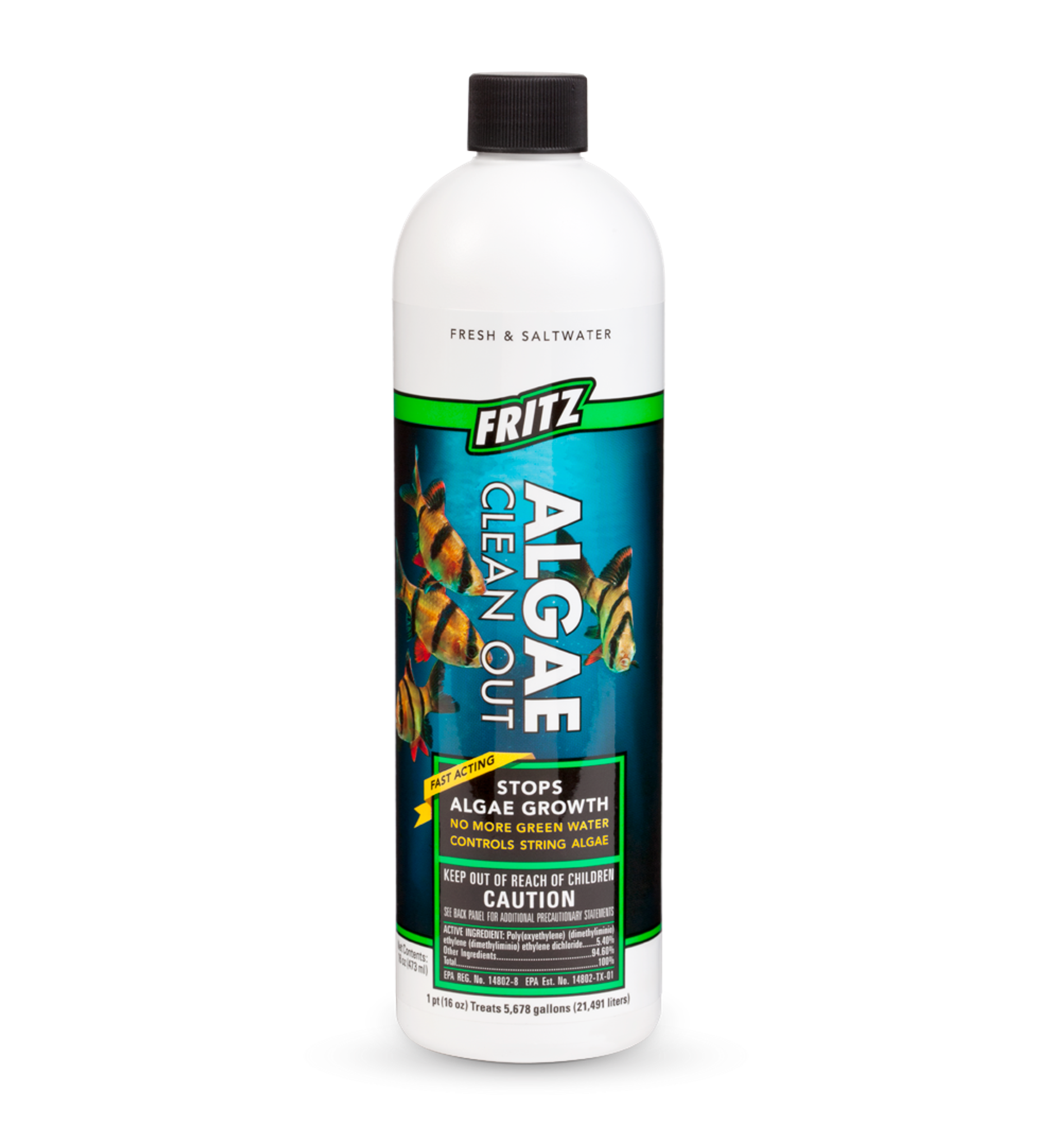 FRITZ ALGAE CLEAN OUT 16OZ 473ML #480168