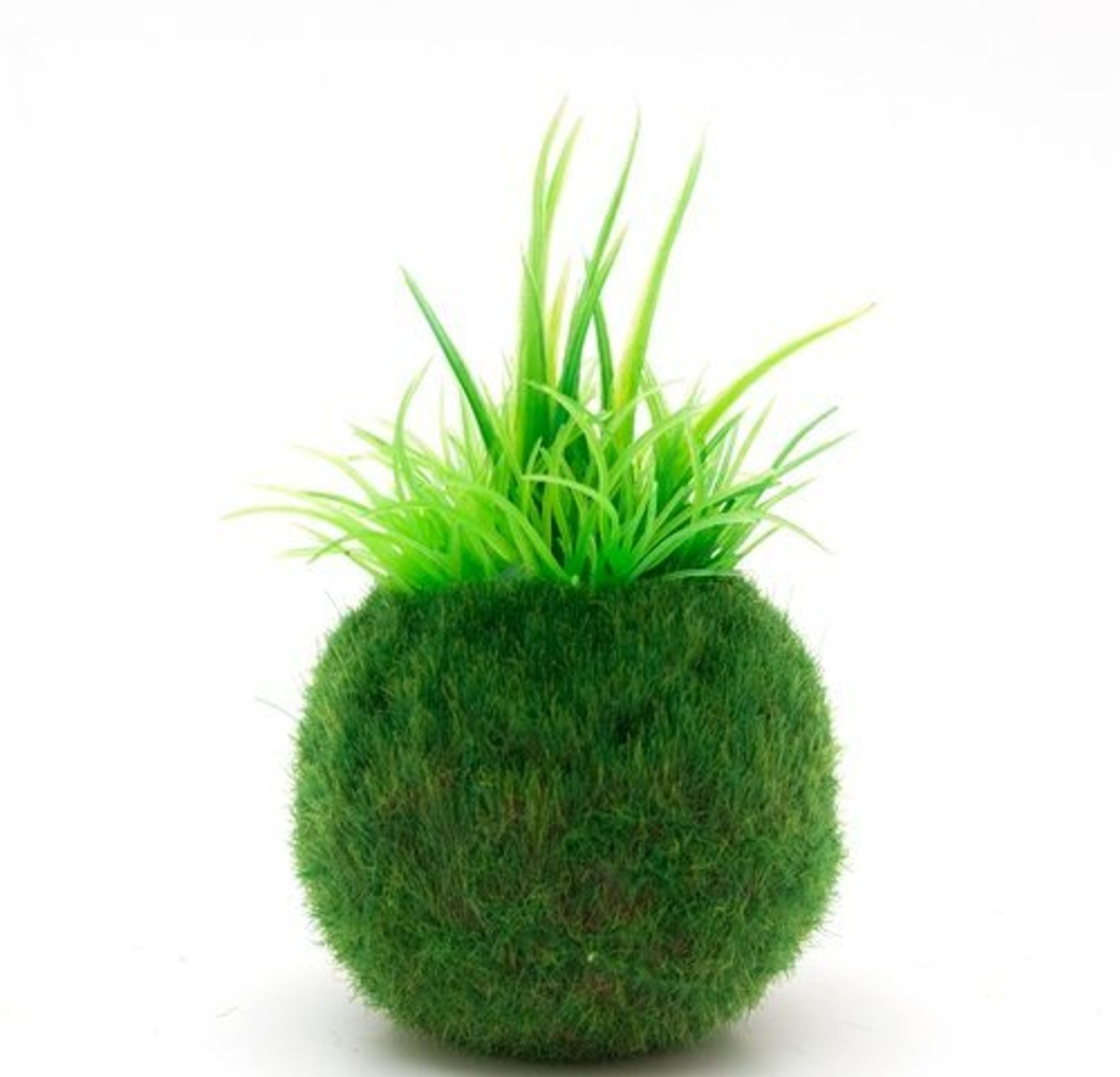 Nisso Aqua Bonsai Green S NAP-570