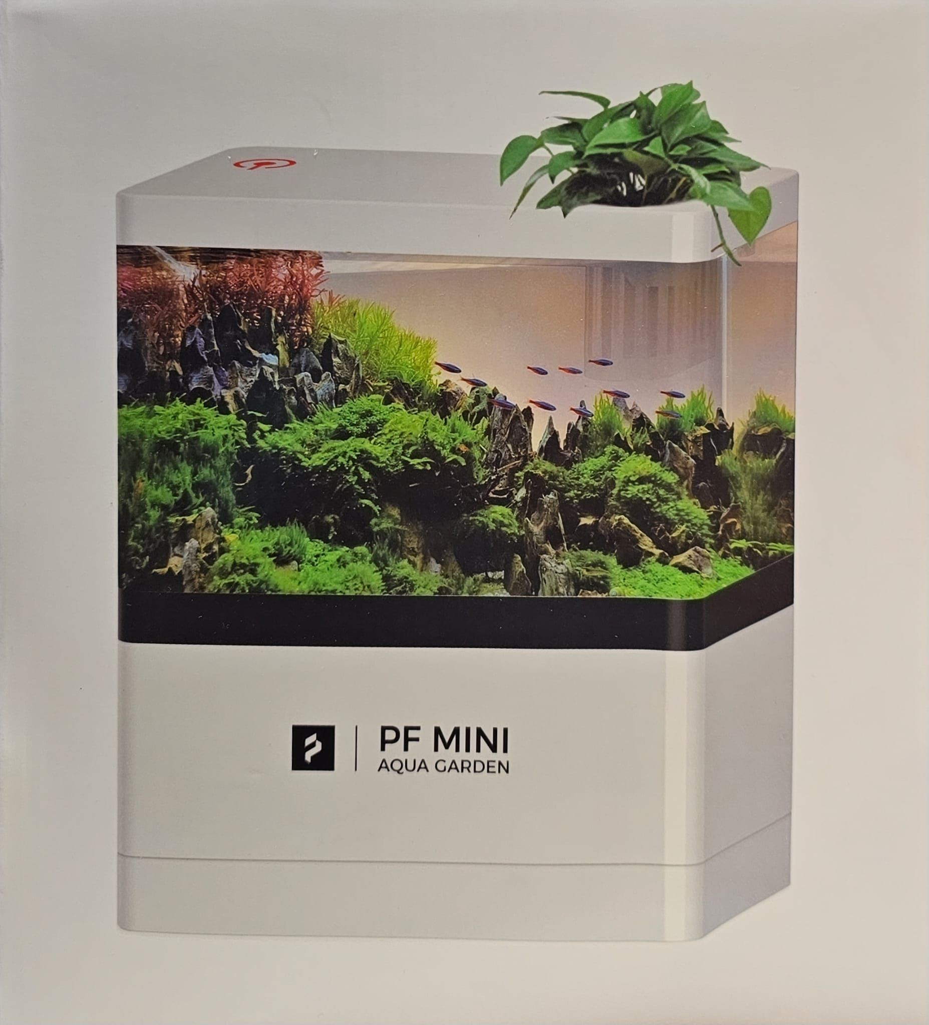 PF Mini Aqua Garden MINI Aquarium Tank set 20cm x 10cm x 24cm