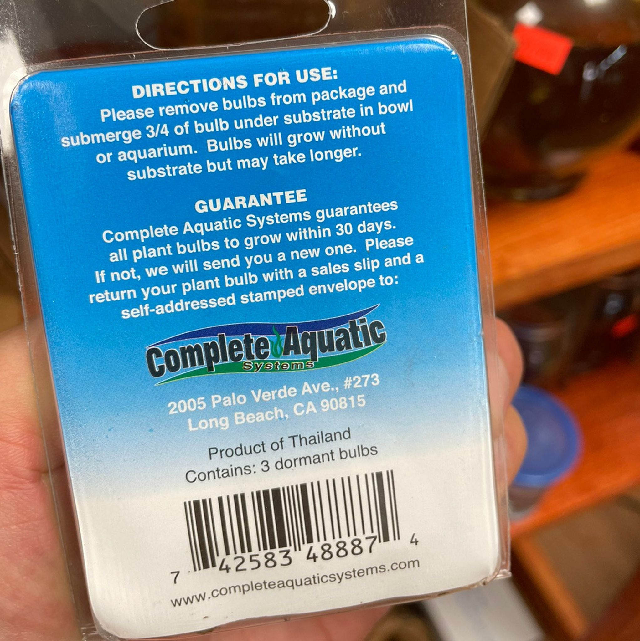 Betta Bulbs - Aponogeton Sp.