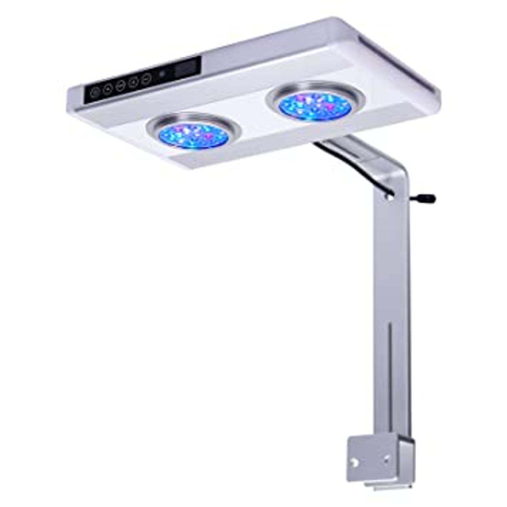 Nemo Light