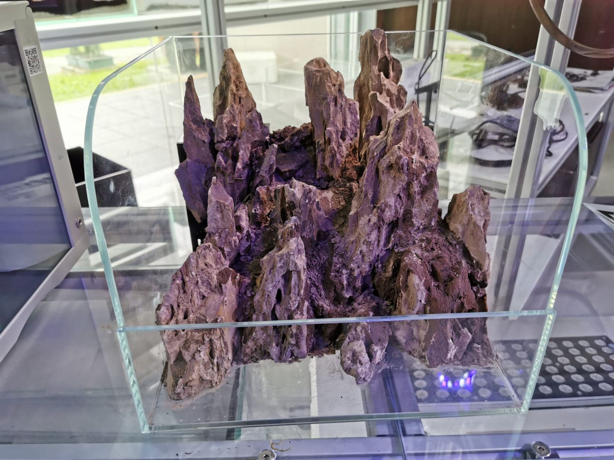 Paludarium Tank (30cm)