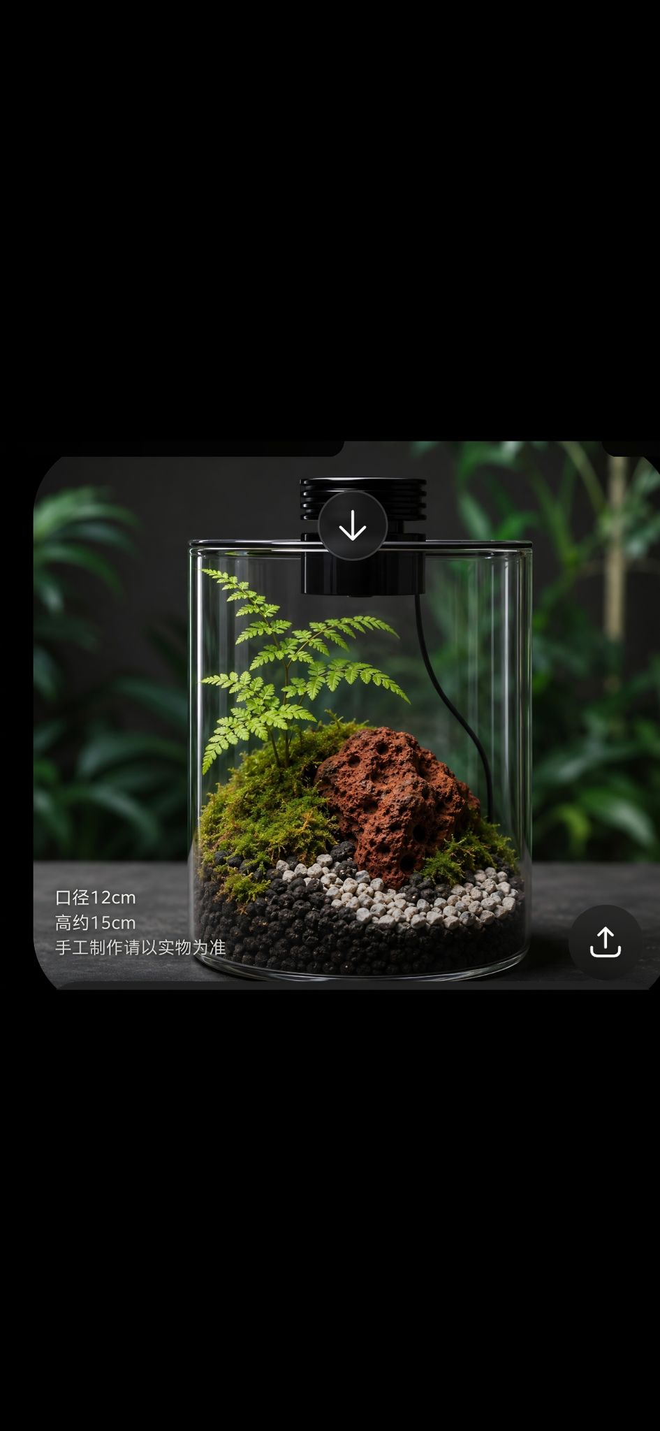 terrarium set