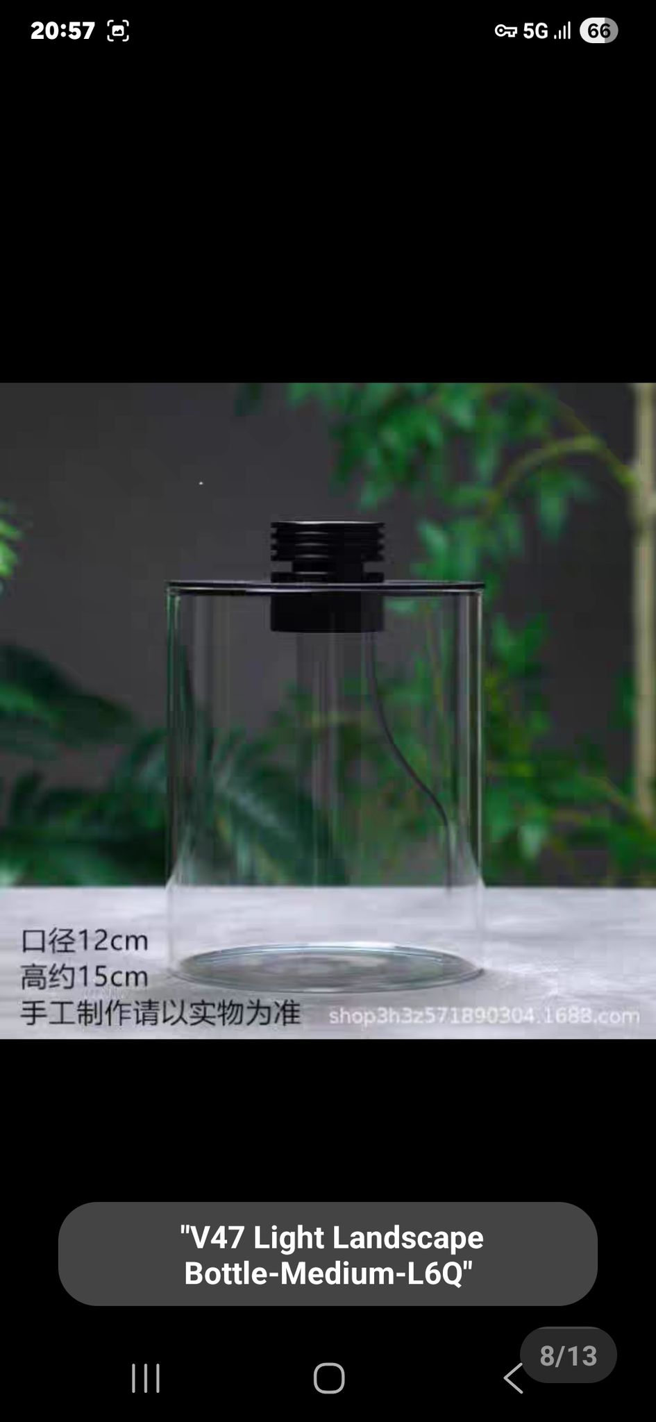 terrarium set