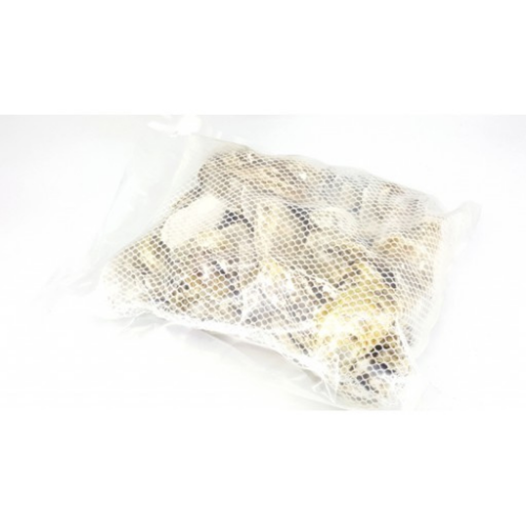ANS Oyster Shell 800g