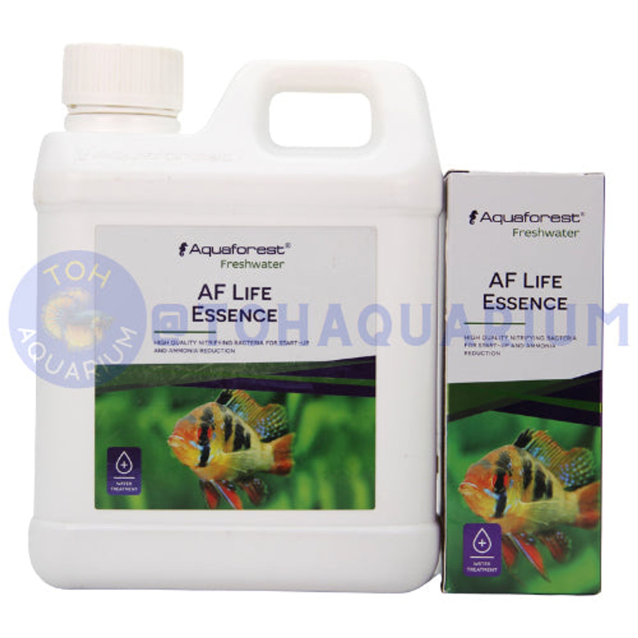 Aqua Forest AF Life Essence (Option Available)