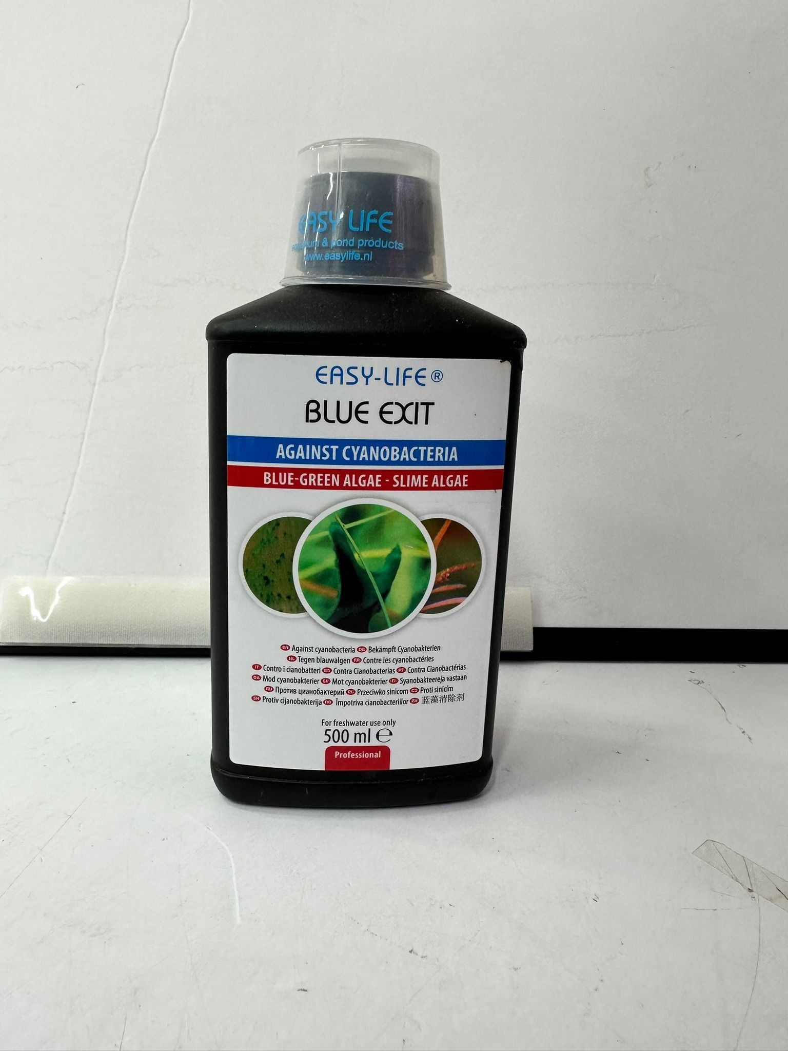 Easy Life Blue Exit (Options Available)