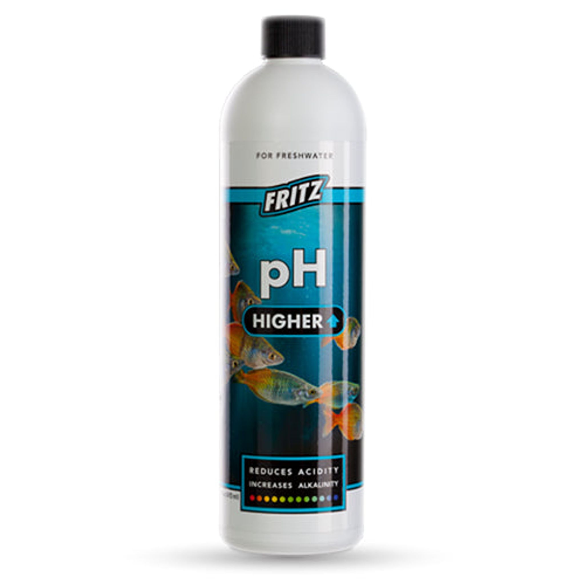 Fritz PH Higher (Options Available)