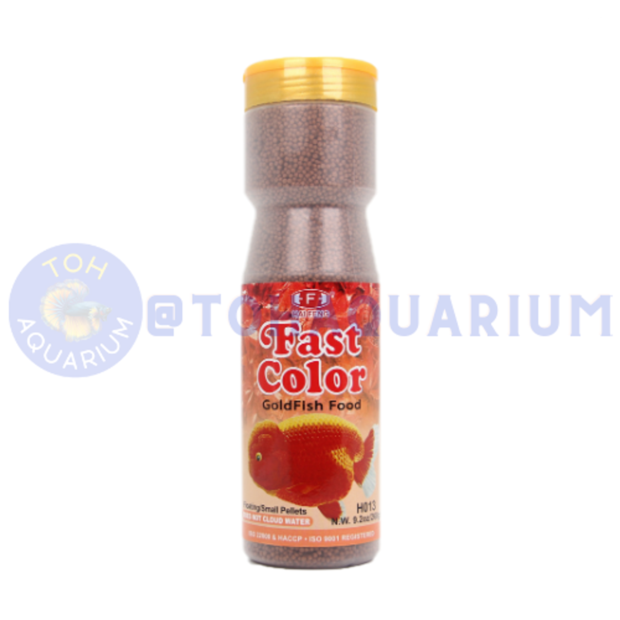 Hai Feng Goldfish Fast Colour (Options Available)