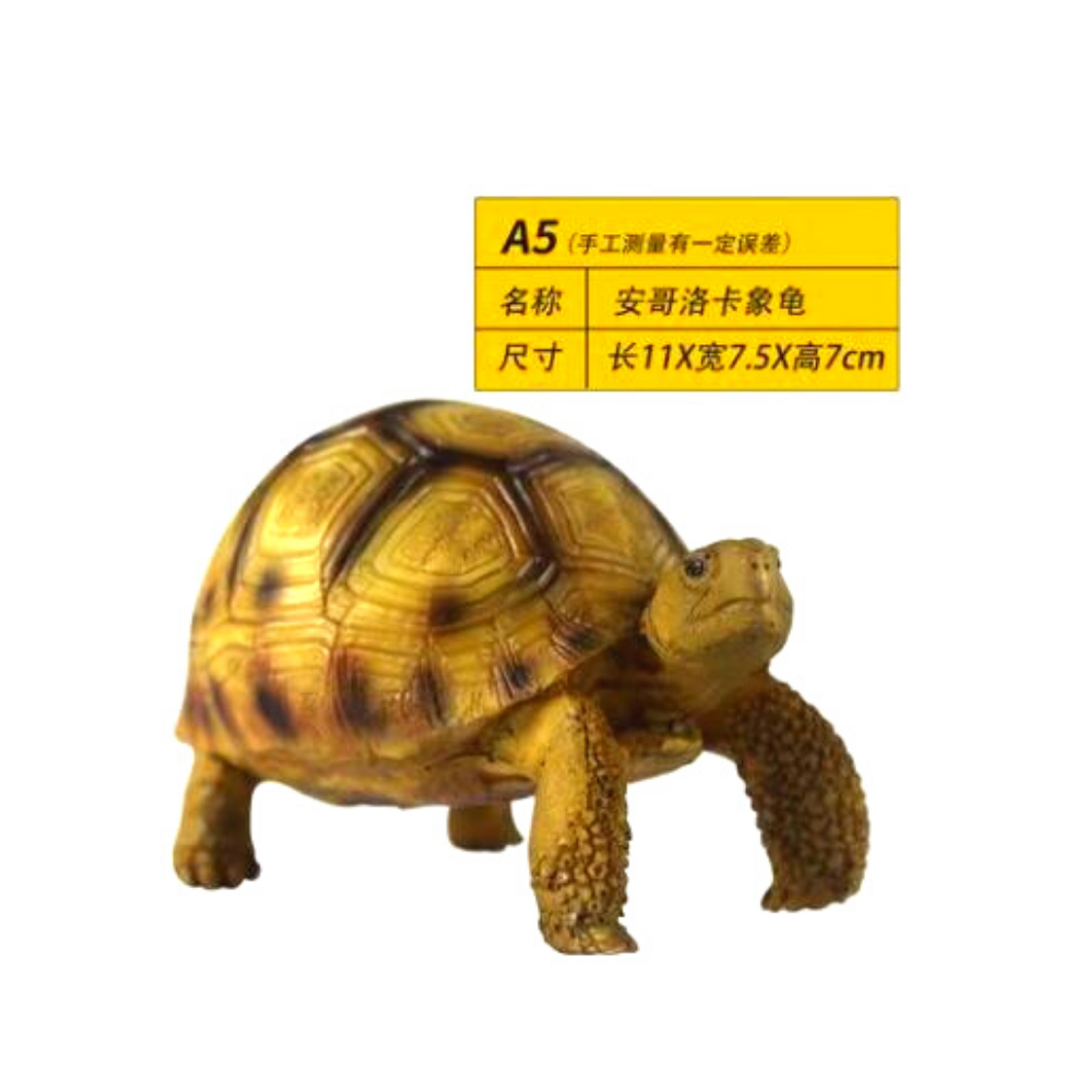 NOMOYPET A-5 Turtle deco